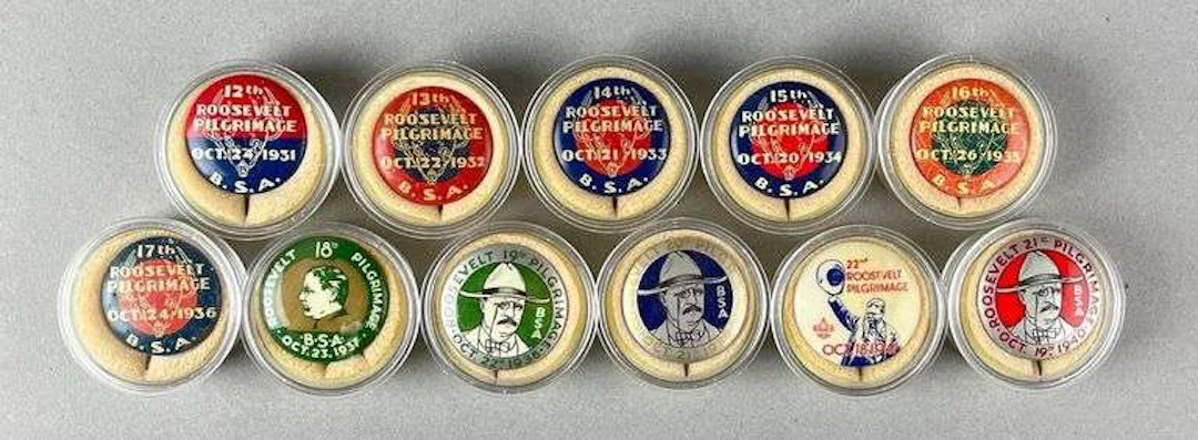 Group of 11 Antique Boy Scouts of America Roosevelt Pilgrimage Button