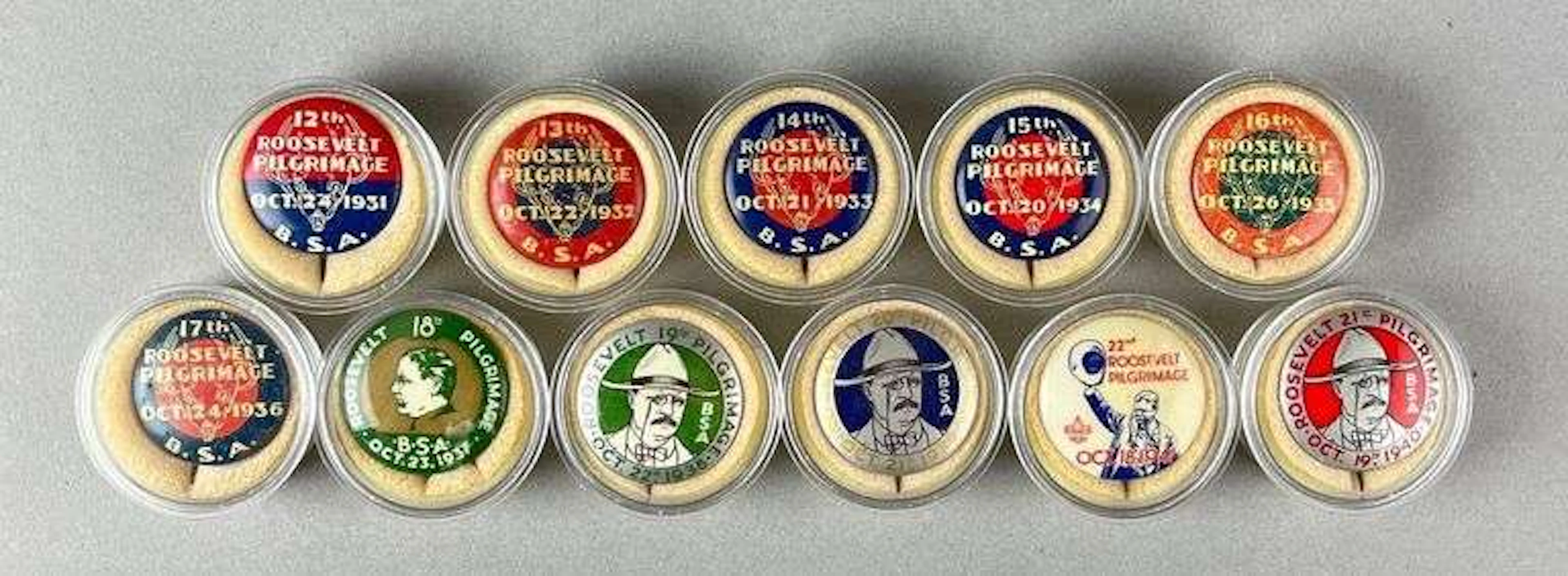 Group of 11 Antique Boy Scouts of America Roosevelt Pilgrimage Button