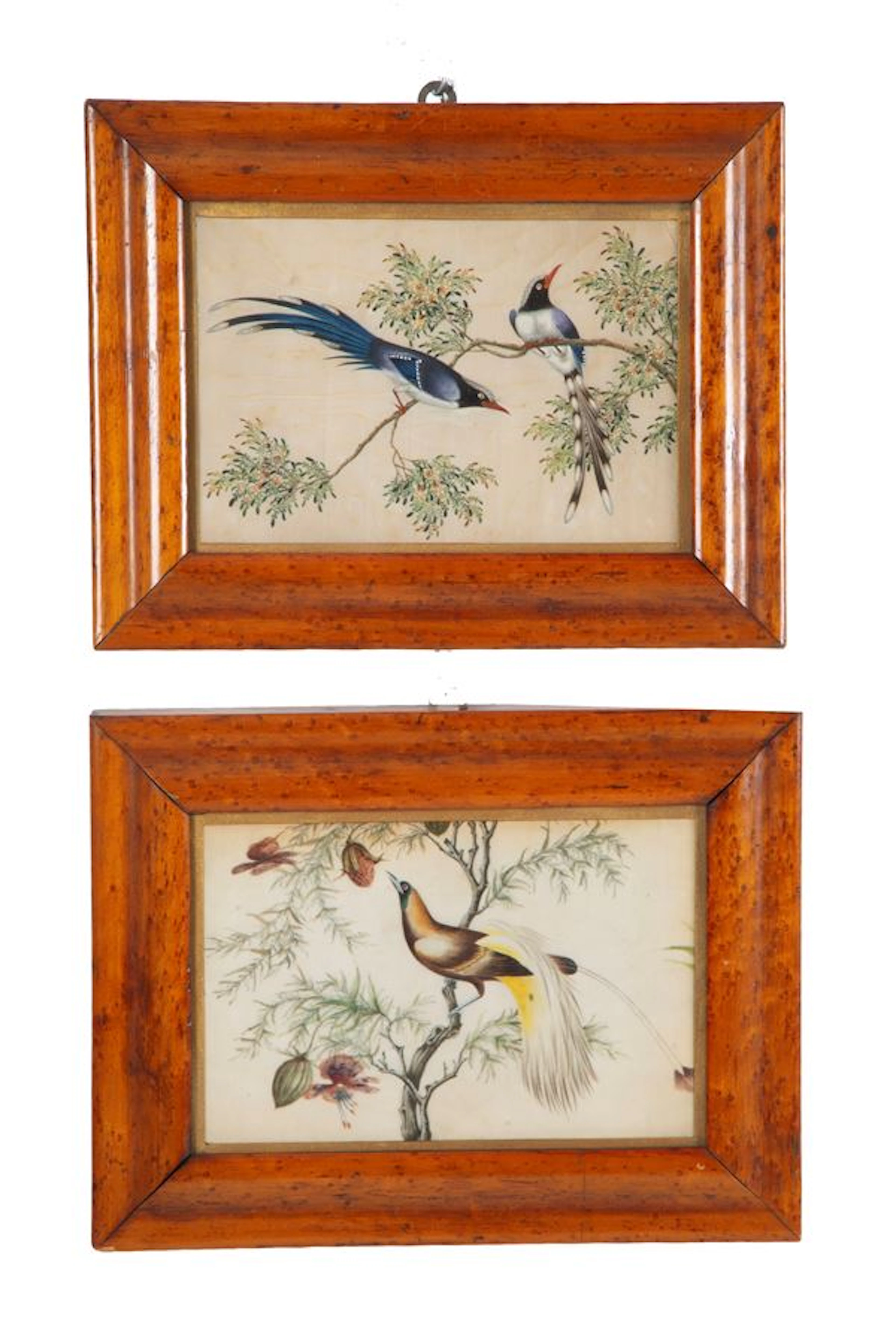 Coppia di dipinti "UCCELLI CANTERINI SUL RAMO"