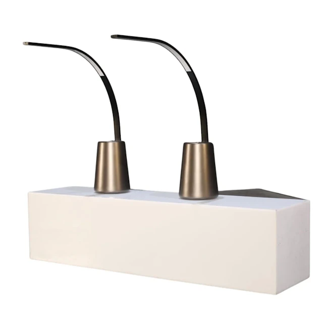 Curved Desk Lamp by Roche Bobois, Set of Two