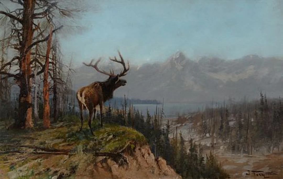 John Fery (1859 – 1934) – Elk Overlooking Jackson Lake