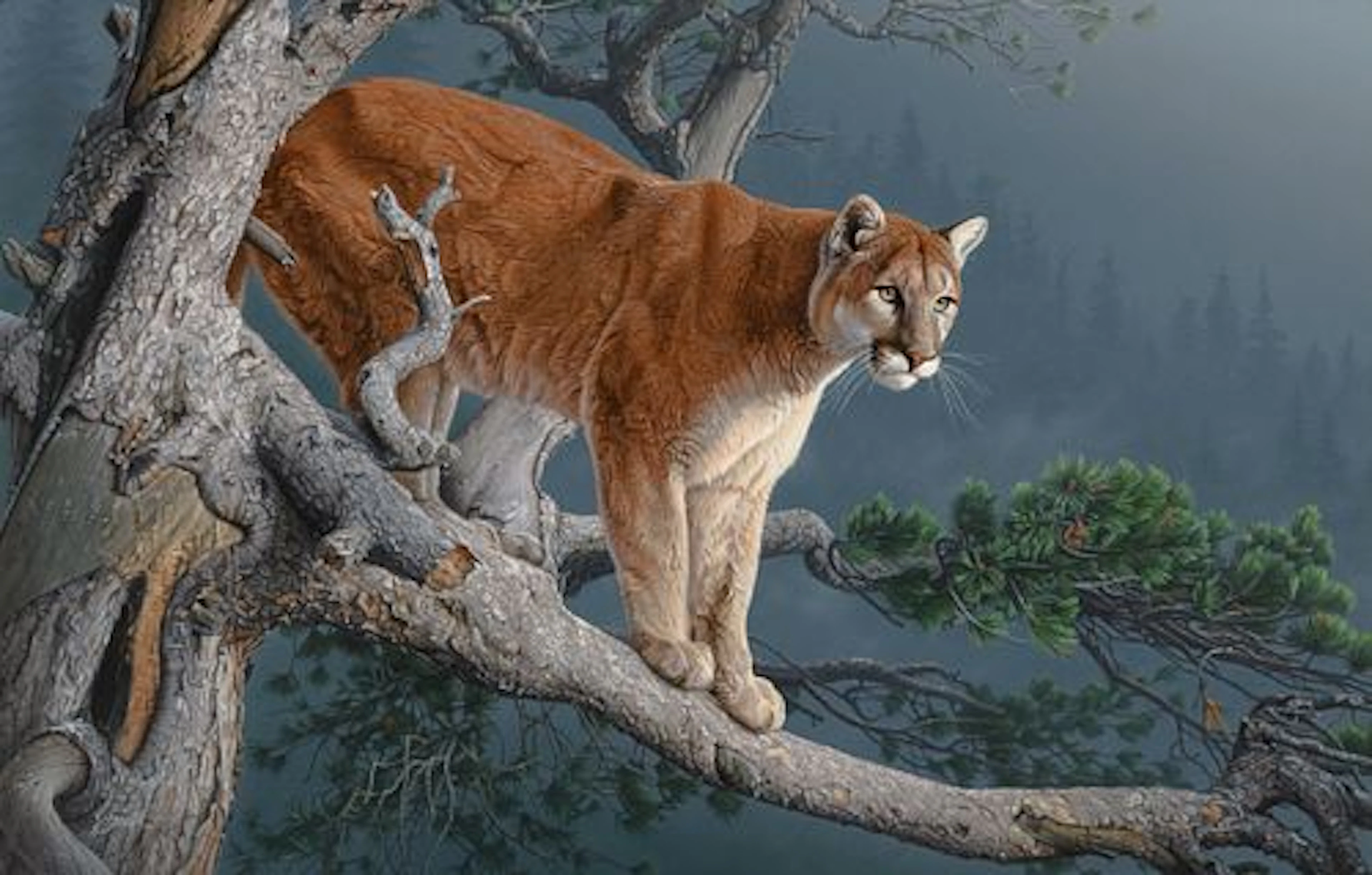 Daniel Smith (b. 1954) – Silent Surveillance (2011)