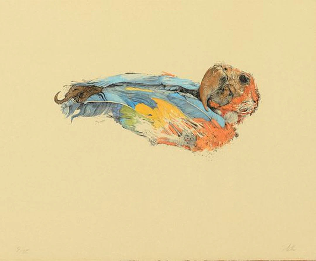 Paul Pletka (b. 1946) – Mummified Macaw