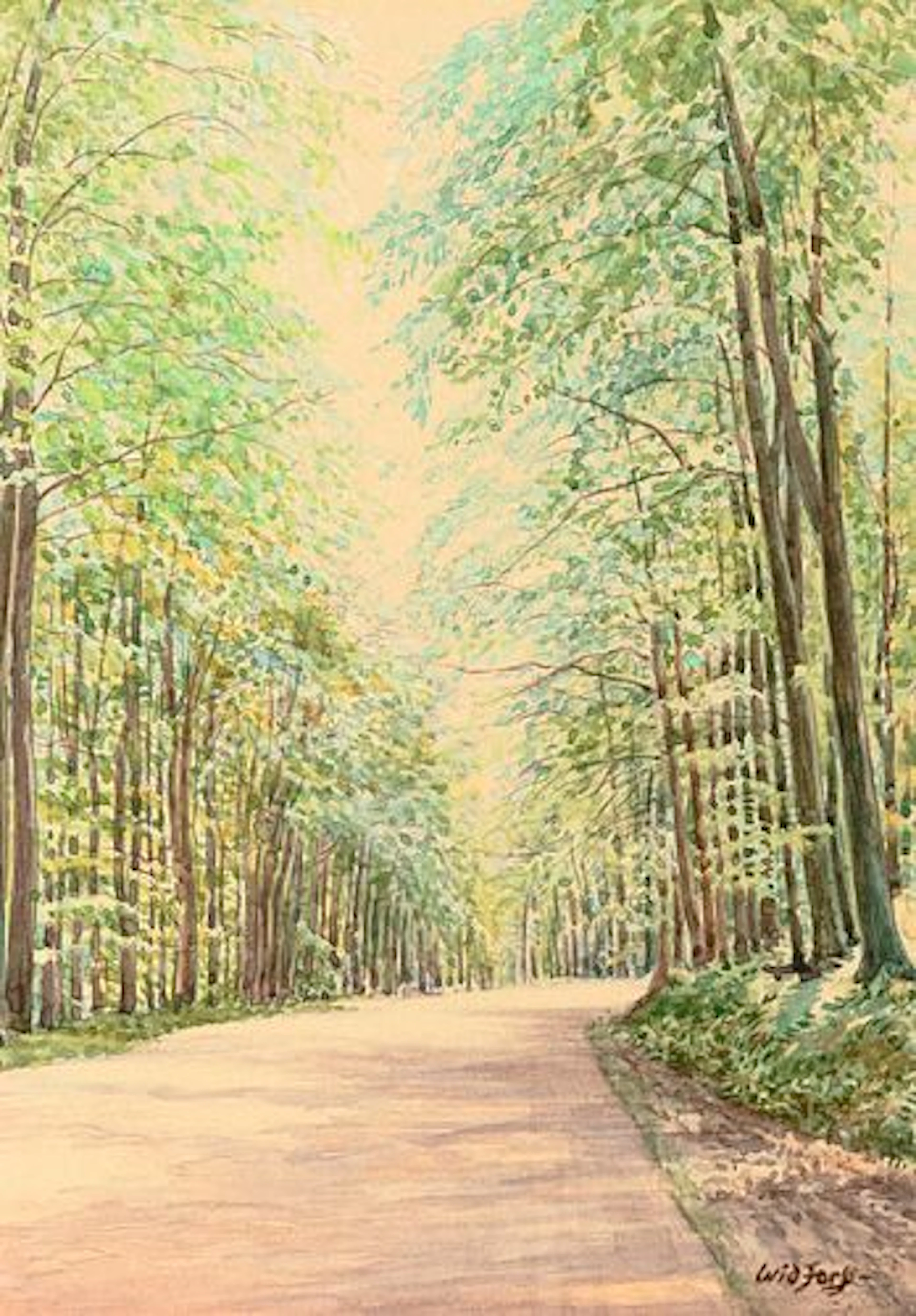 Gunnar Widforss (1879 – 1934) – Tree Lined Lane