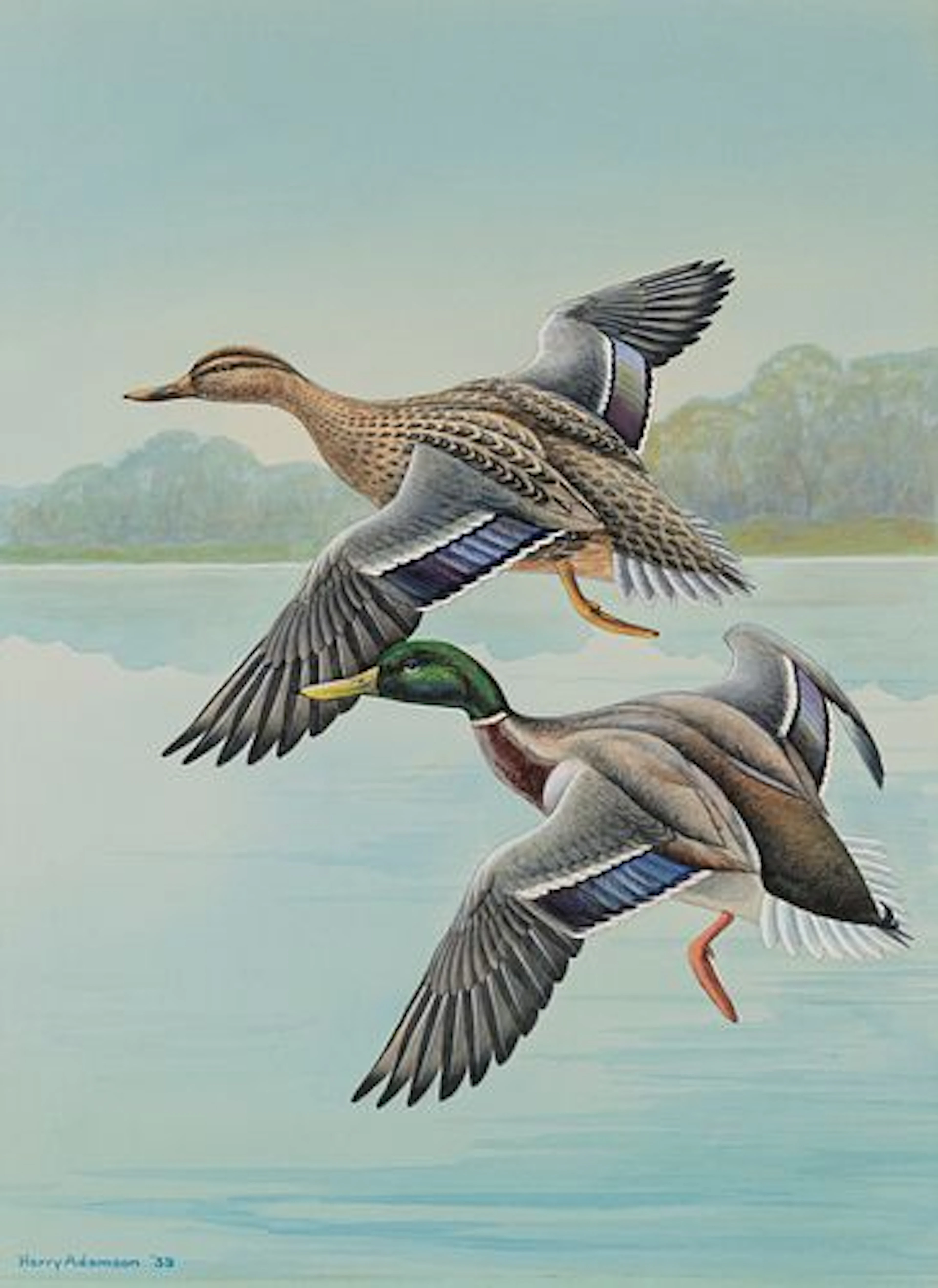 Harry Adamson (1916 – 2012) – Mallards (1939)
