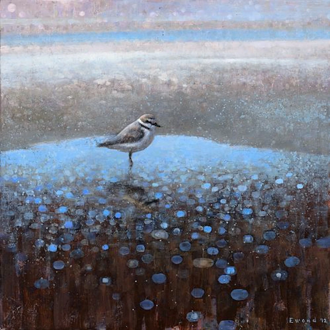 Ewoud de Groot (b. 1969) – Piping Plover (2012)