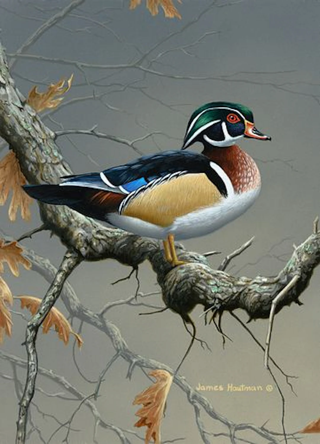 Jim Hautman (b. 1964) – Wood Duck