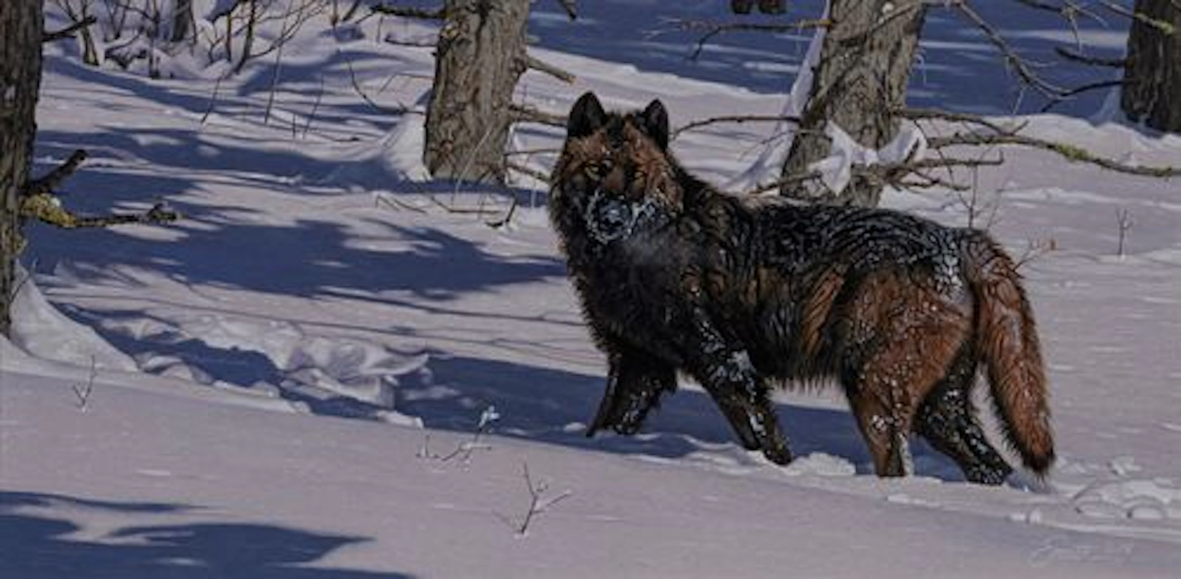 Daniel Smith (b. 1954) – Shadow Hunter (2014)