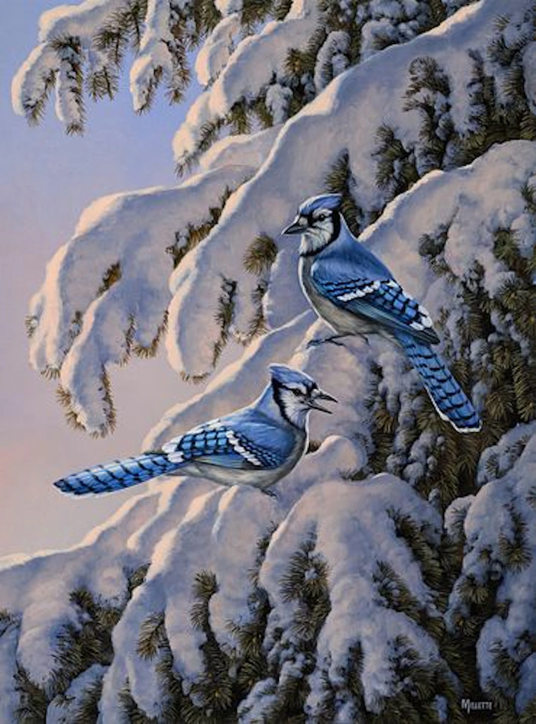 Rosemary Millette (b. 1954) – Morning Alert Bluejays