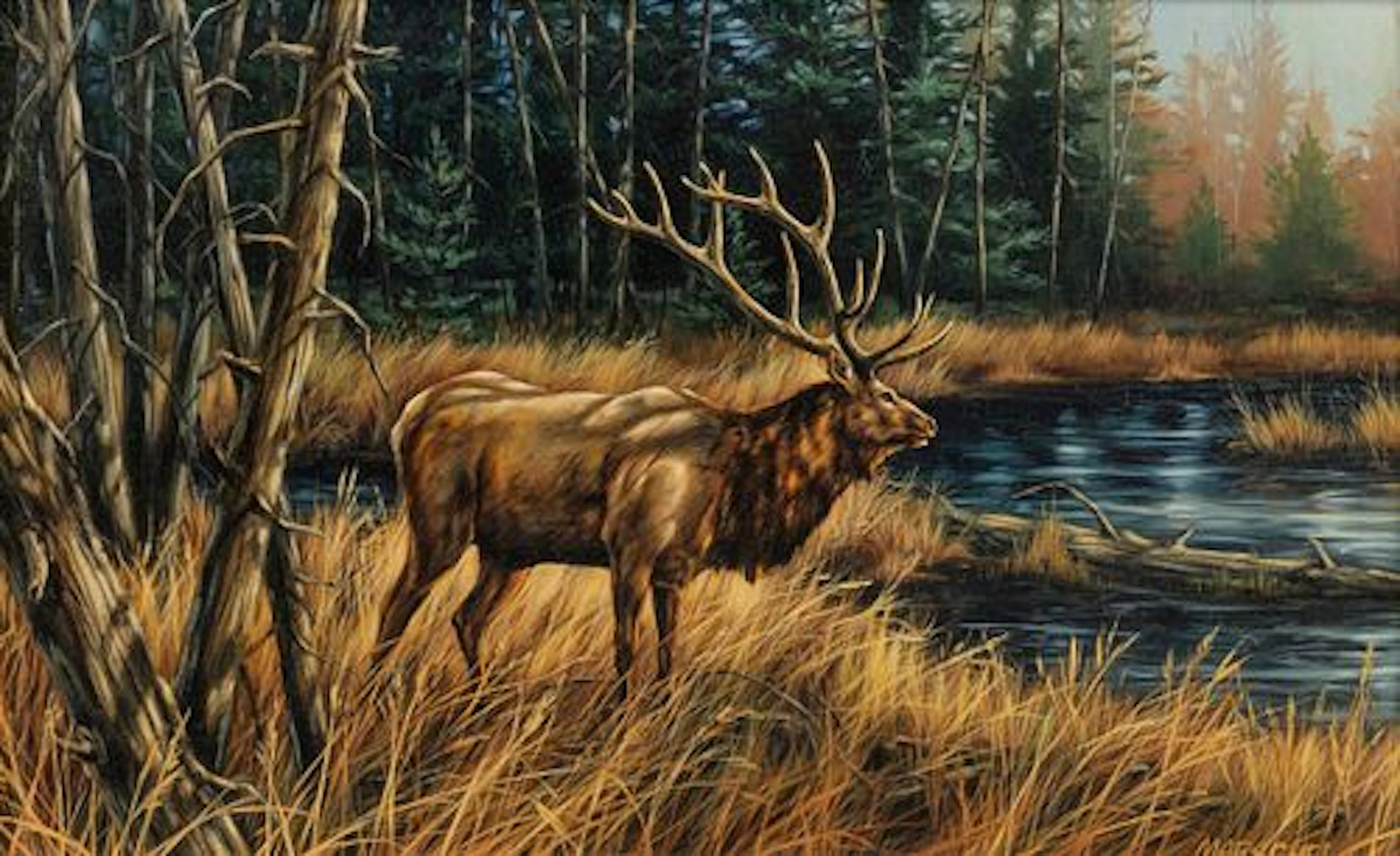 Teresa Marschel (20th C.) – Autumn Elk