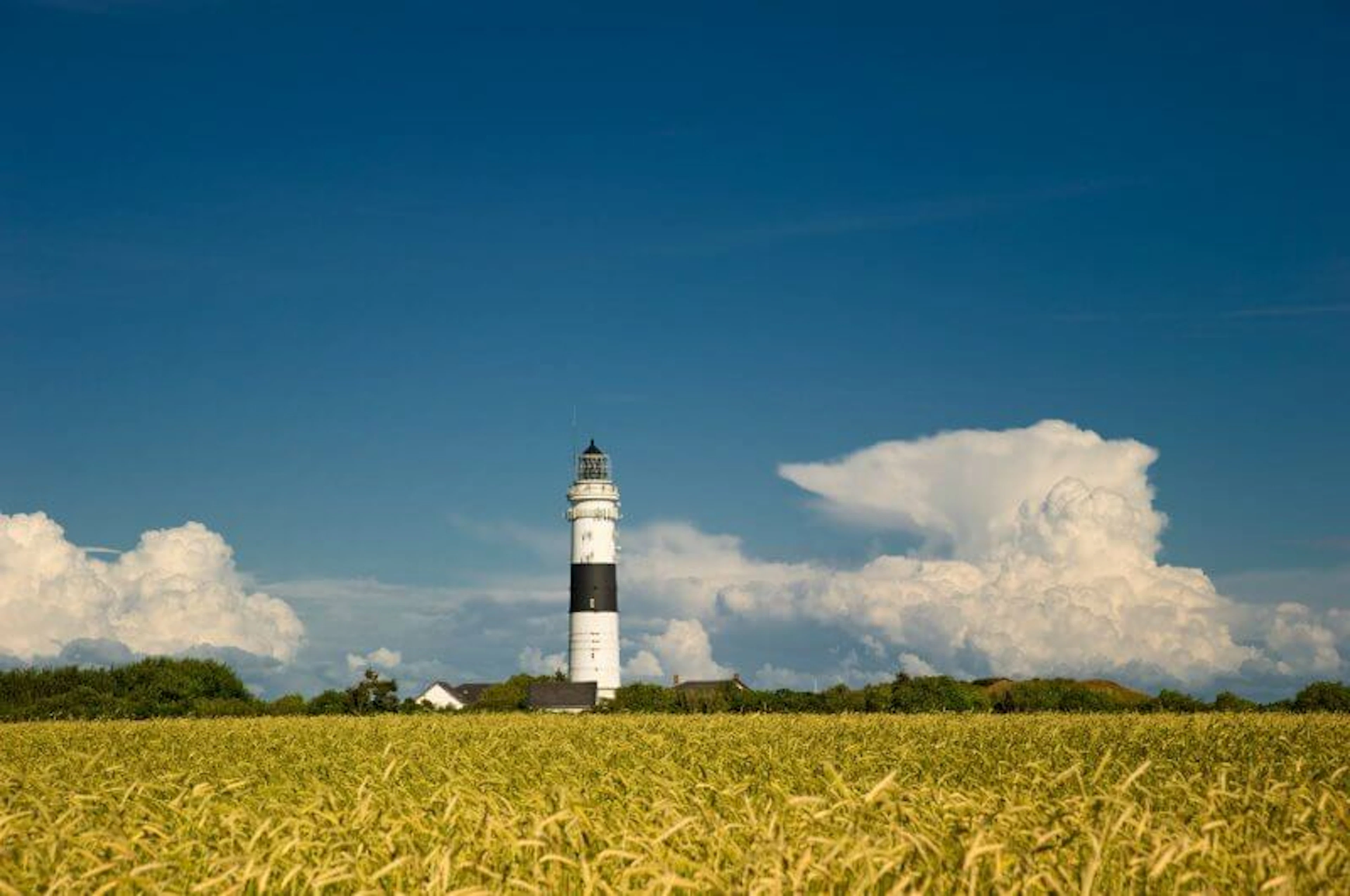 Cumuli, Kampen Sylt 2014