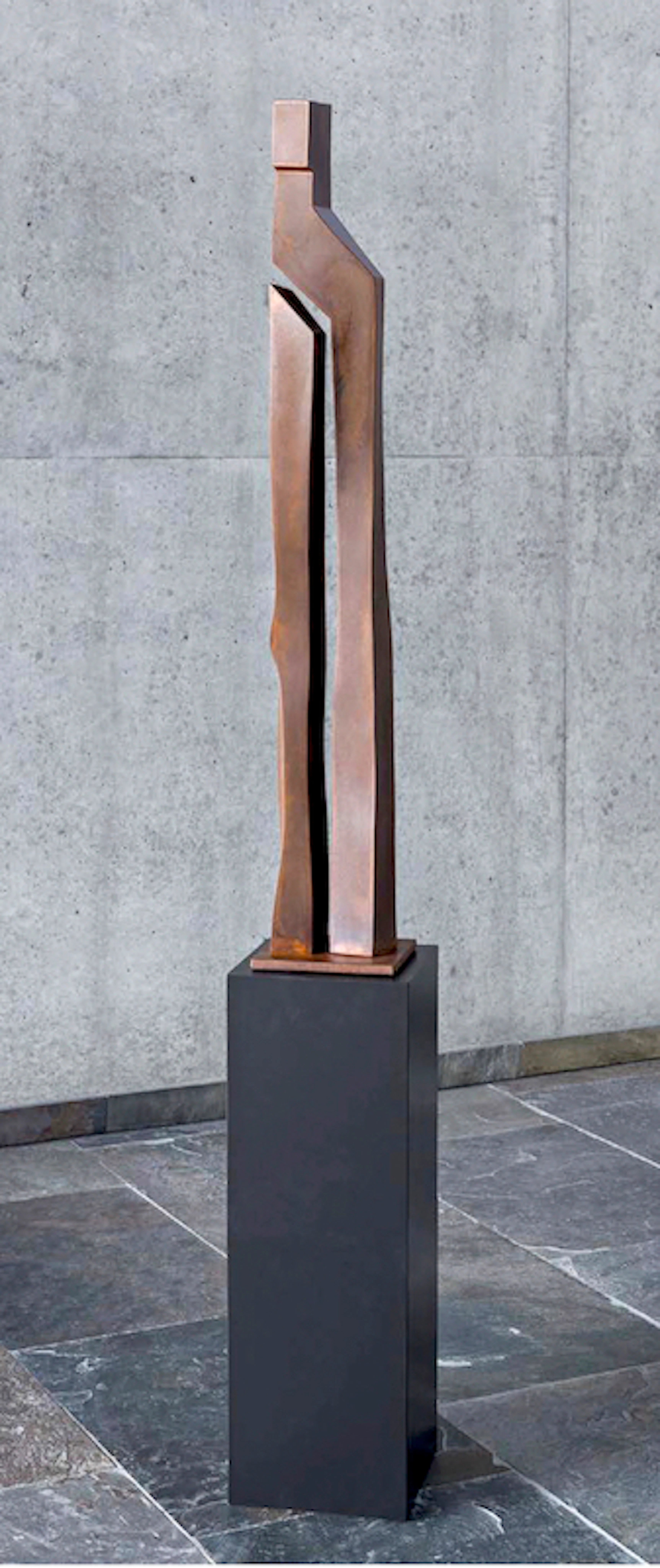Anthropocor Firminus II, 2018