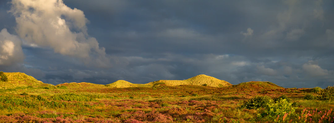 Lux Aeterna, Kampen Sylt 2016