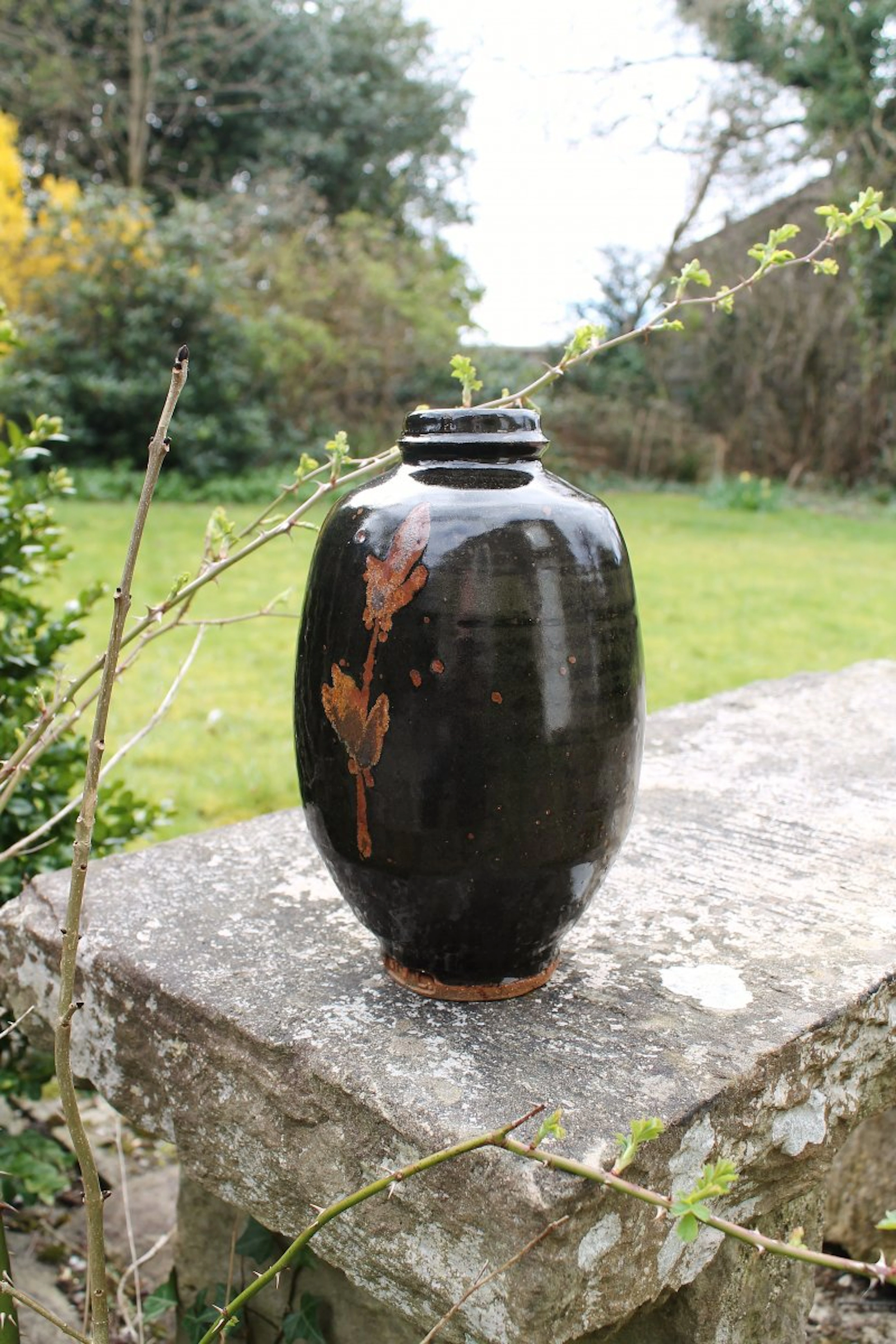 Footed bottle, tenmoku, iron motif by Jim Malone