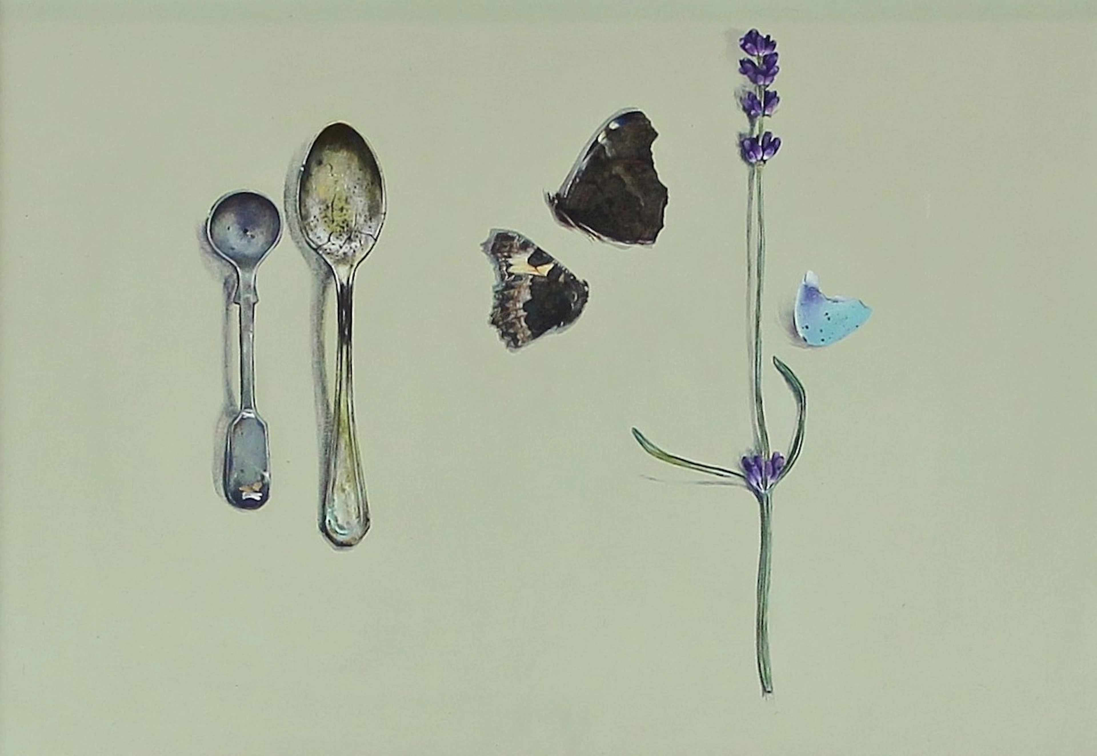 Cassandra by Sarah Jane Bellwood