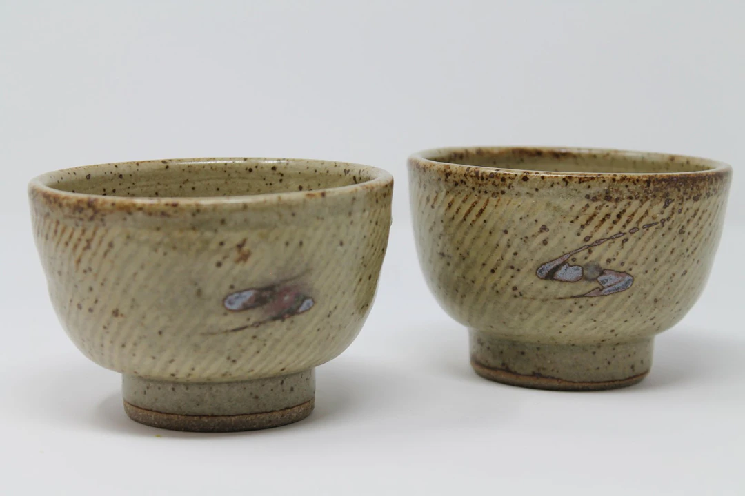 Thrown bowl iv and v by William Plumptre