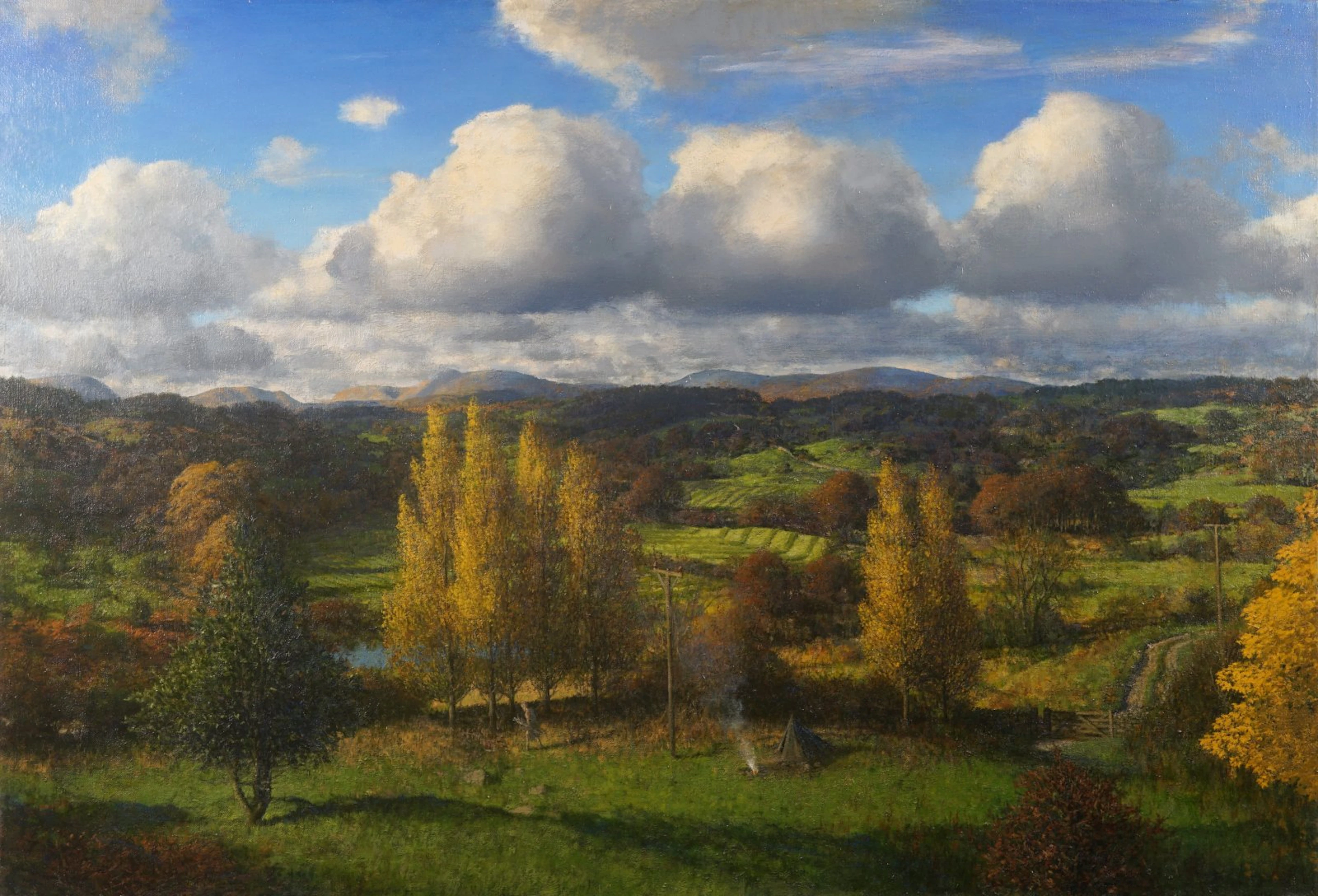 In the wilderness by Martin Greenland