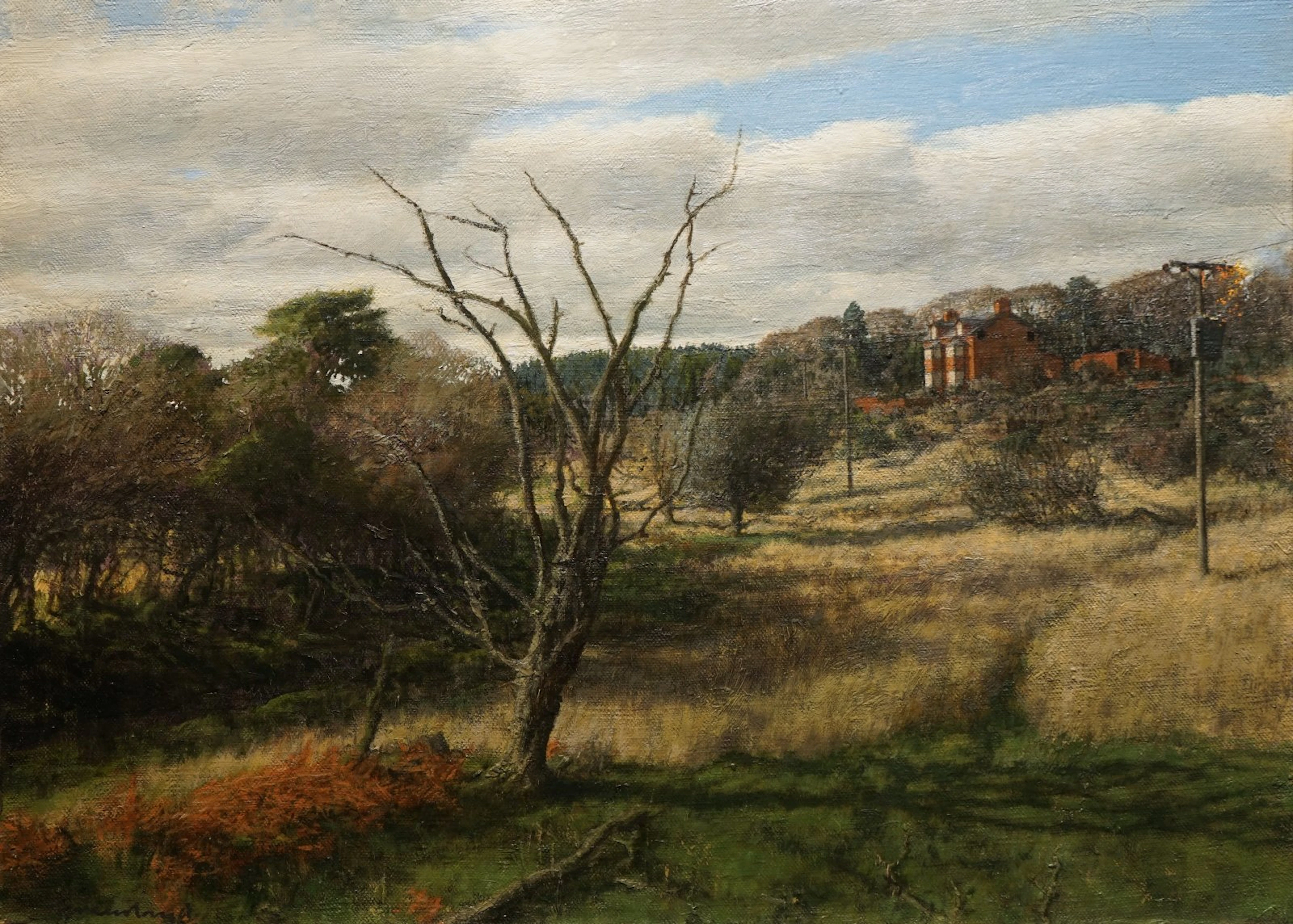 Rough old landscape by Martin Greenland
