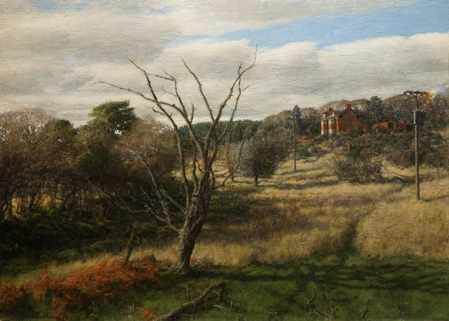 Rough old landscape by Martin Greenland