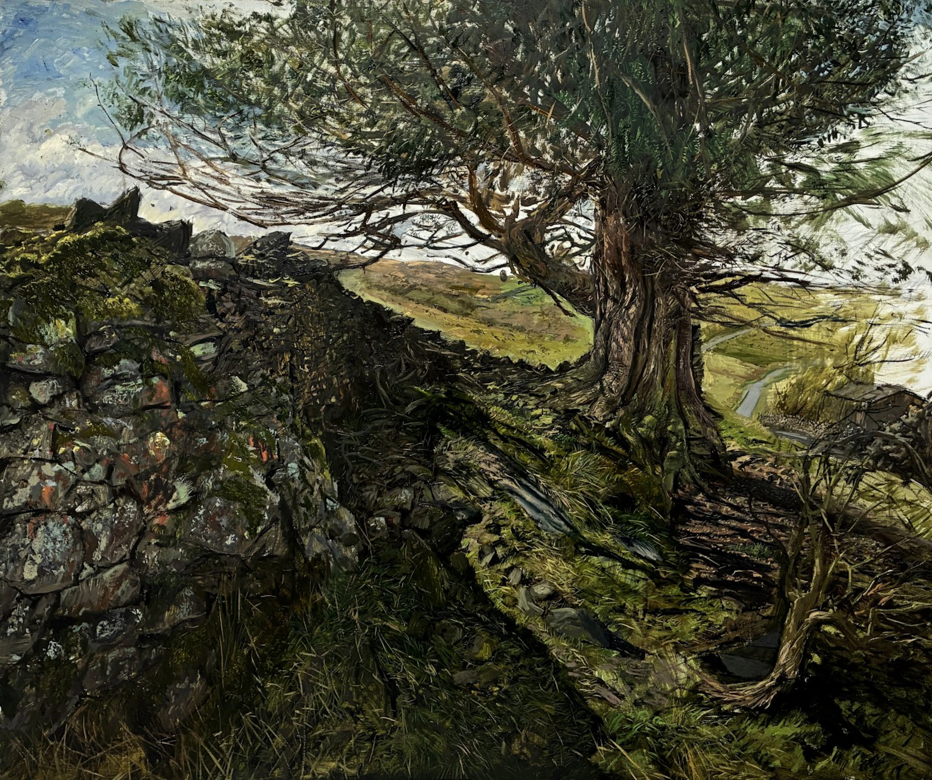 Yew, the wind worn world by Stefan Orlowski