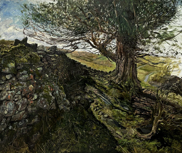 Yew, the wind worn world by Stefan Orlowski