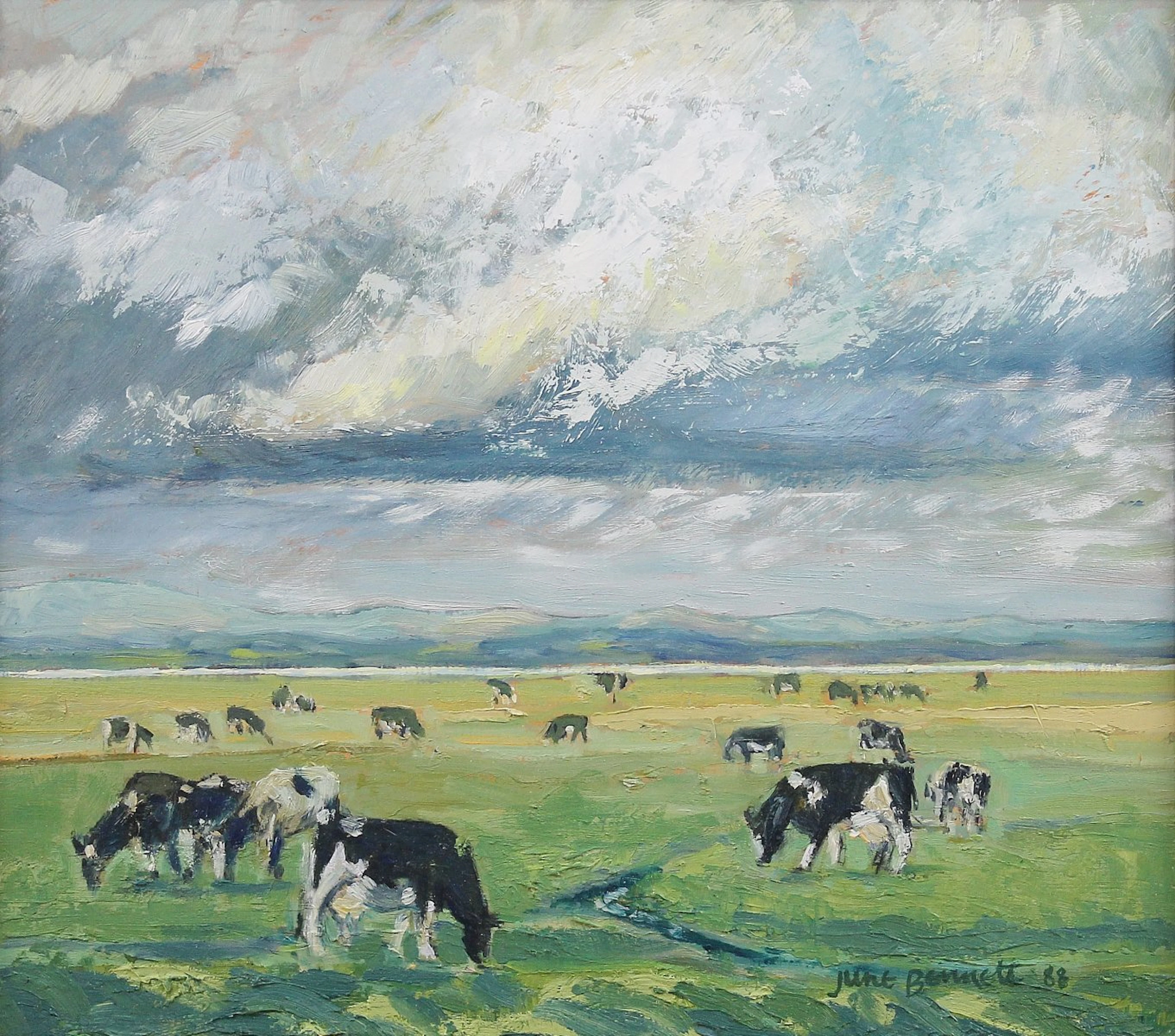 Cows, Bowness on Solway by June Bennett