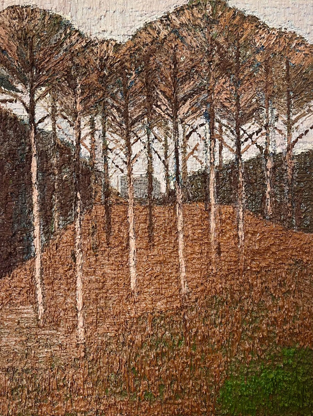 The wooded hill (Baile Hill) by Jake Attree