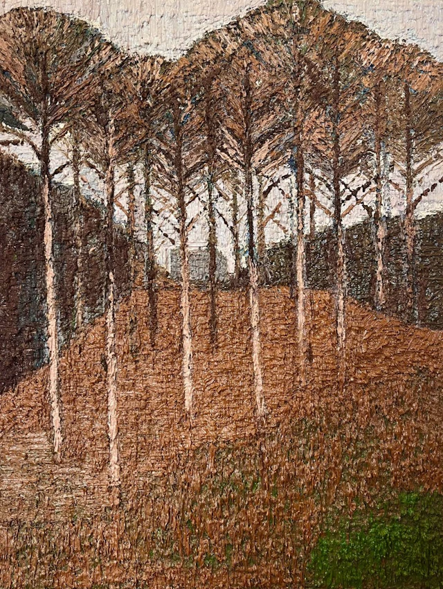 The wooded hill (Baile Hill) by Jake Attree