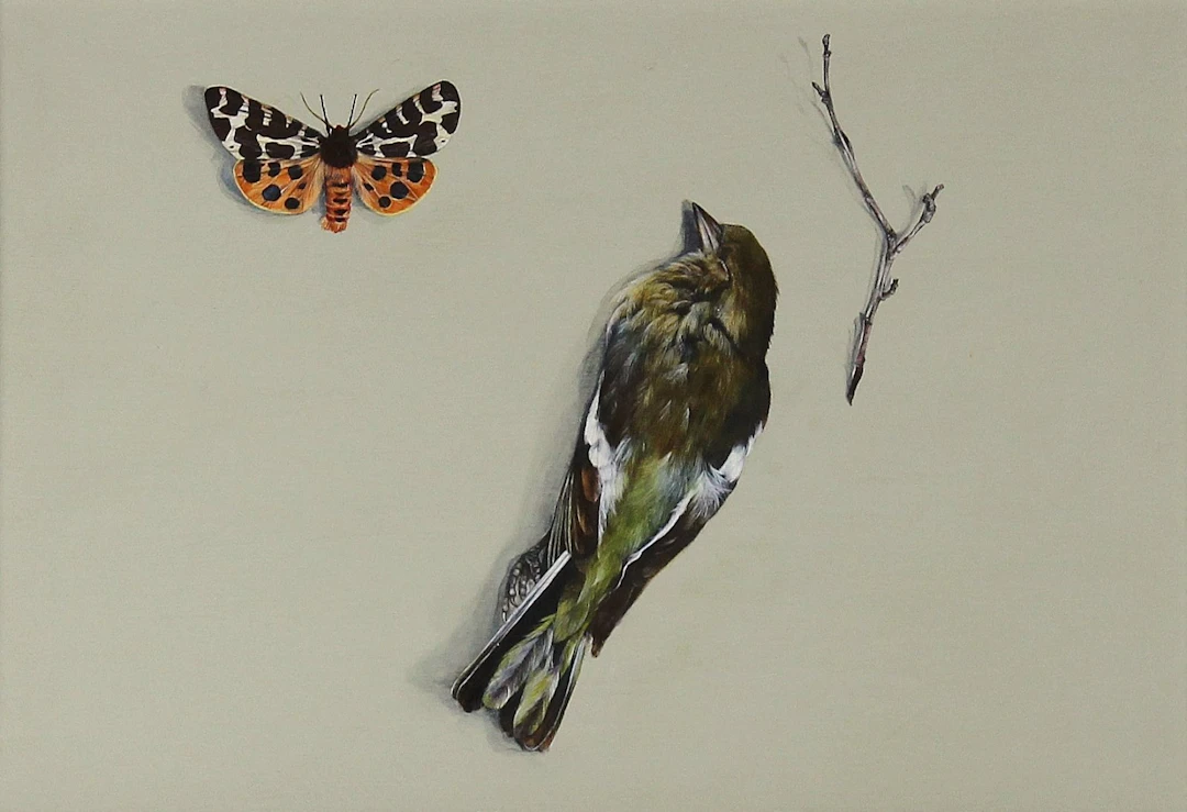 Tyger Tyger by Sarah Jane Bellwood