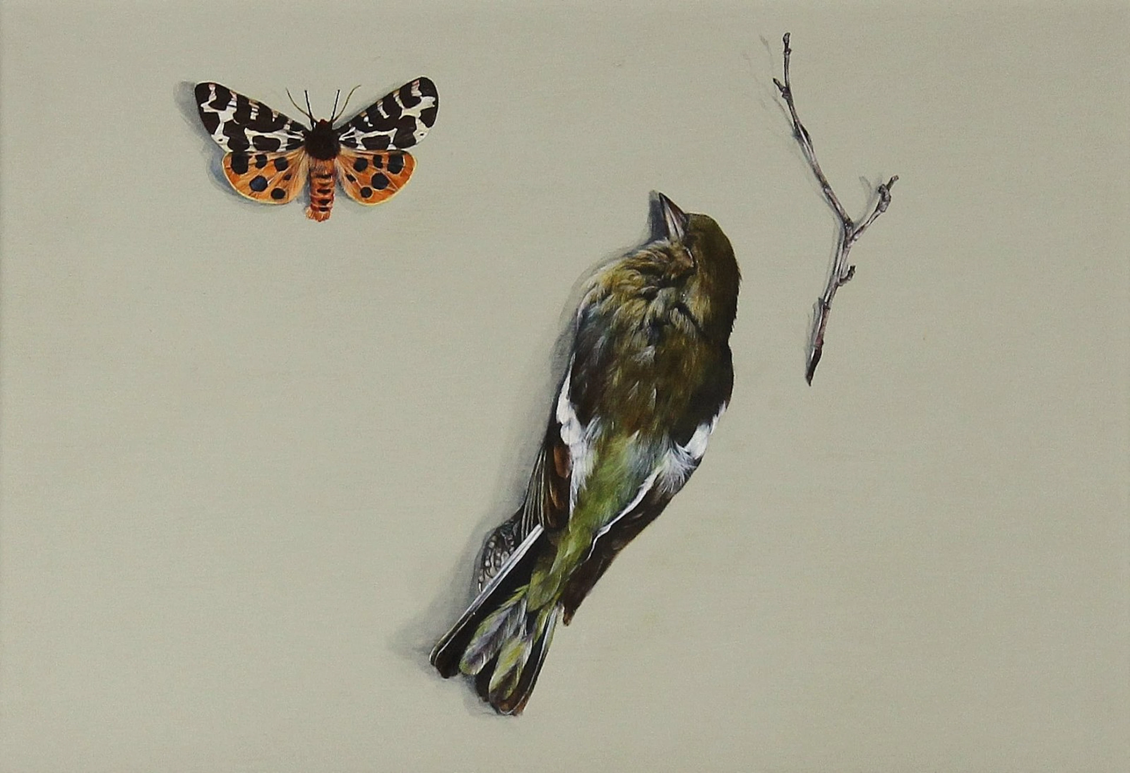 Tyger Tyger by Sarah Jane Bellwood