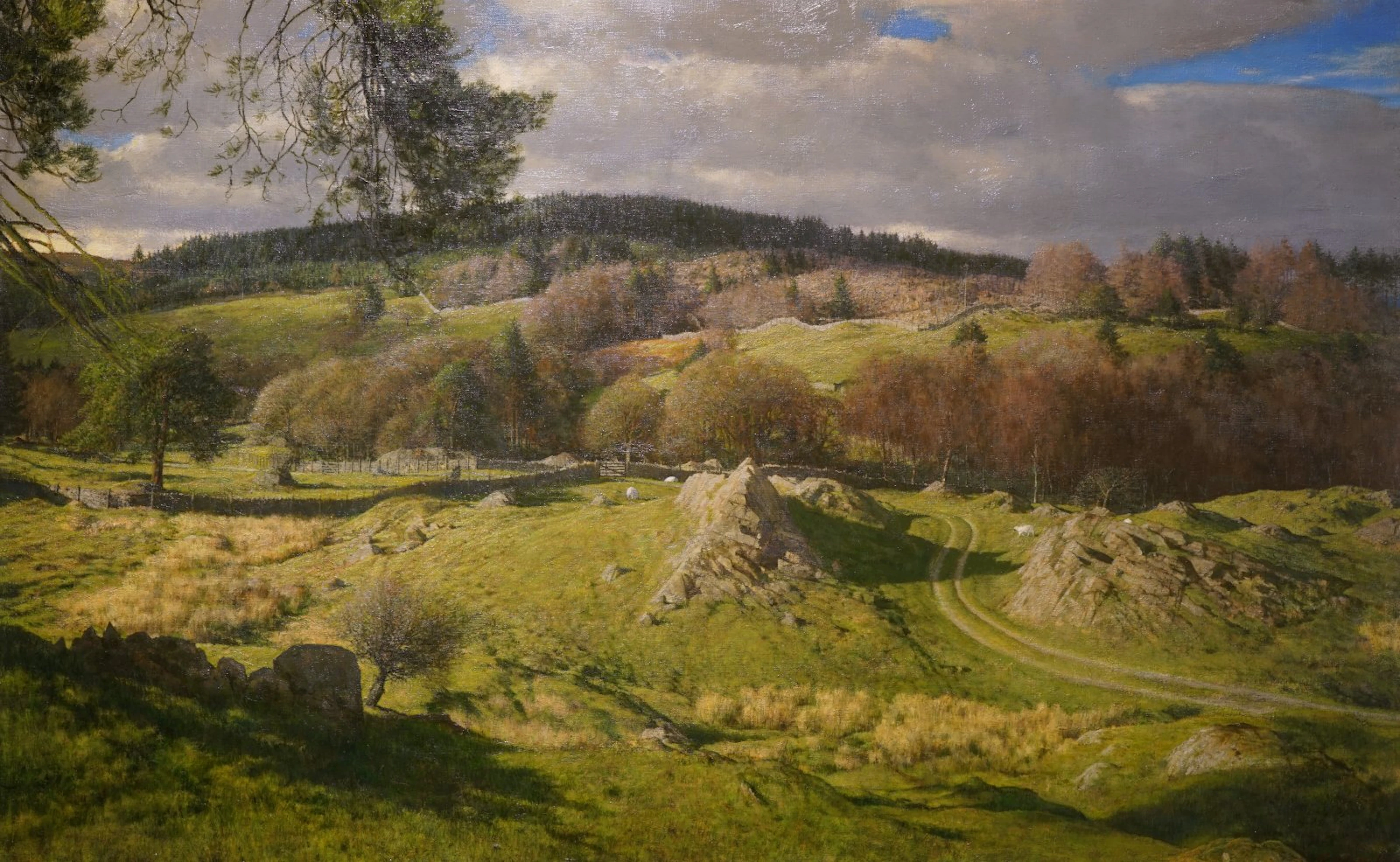 Little Alpine (Foxfield allotment to Sow How and Birch Fell) by Martin