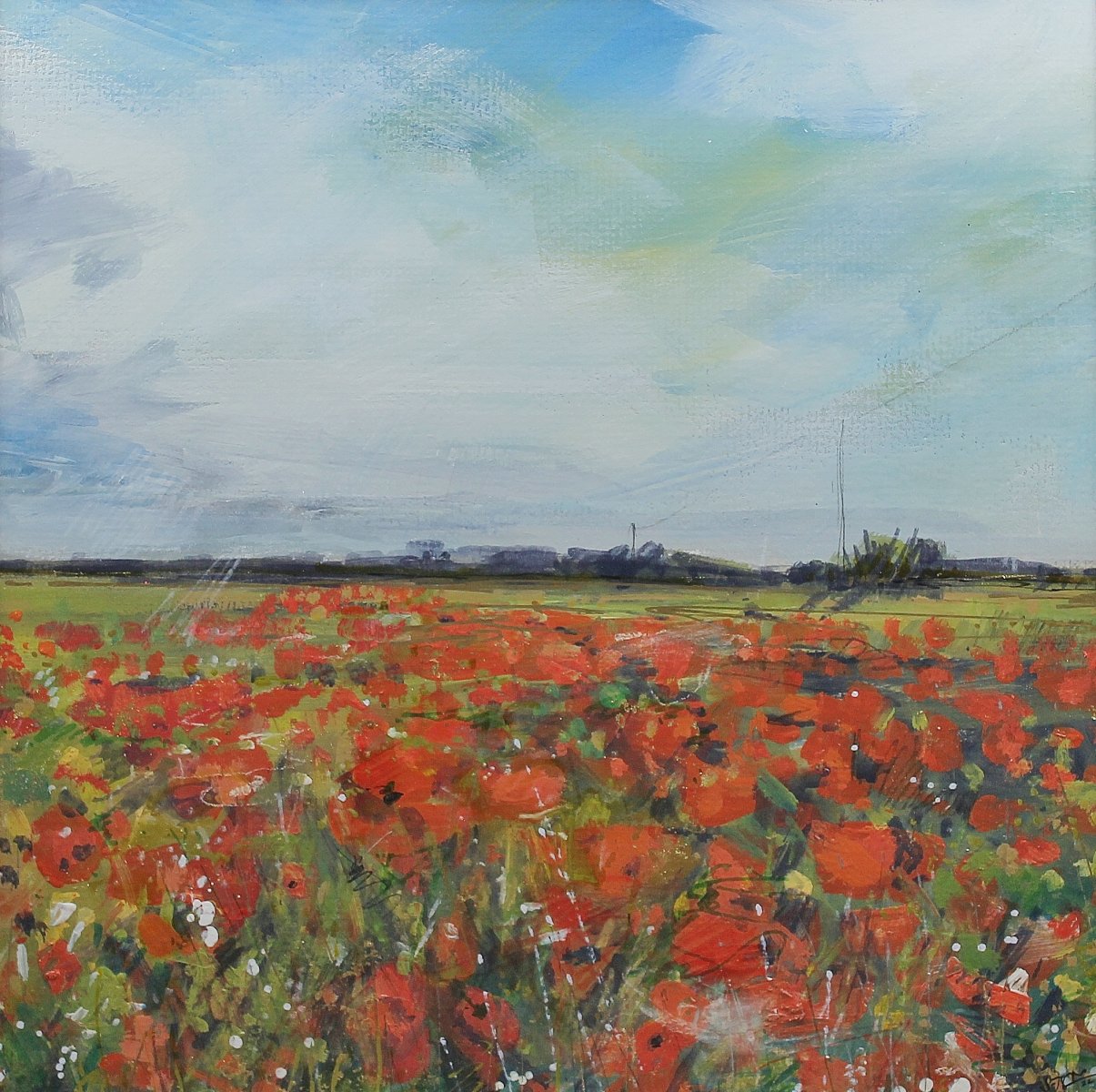 Poppies and farm fields by Sarah Carrington