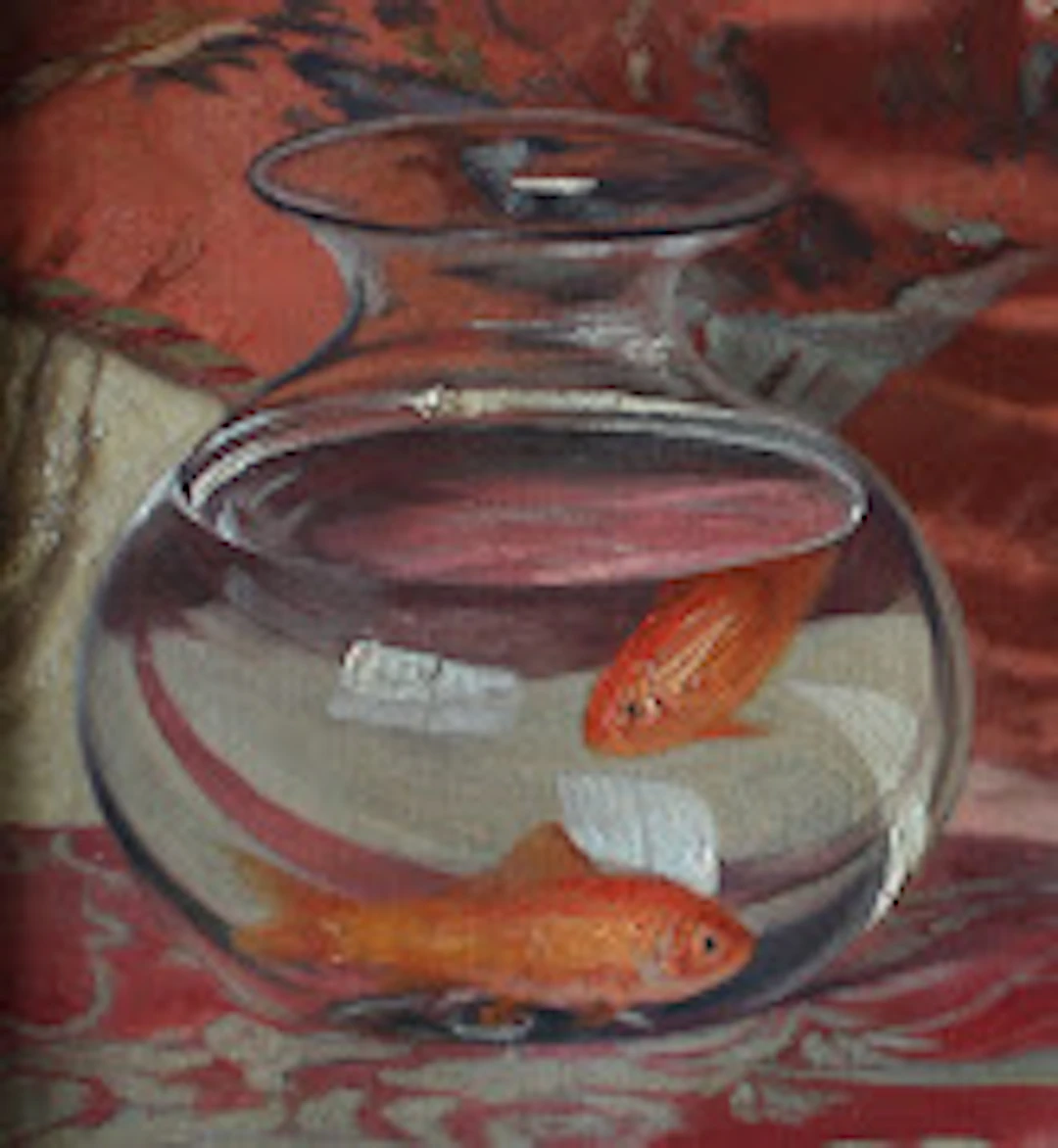 L ' Oeil du Collectionneur ©