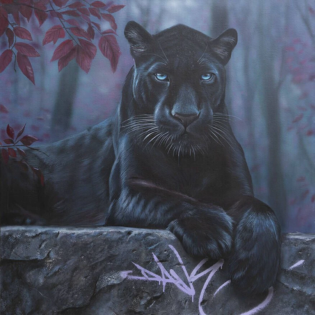 Dave BARANES (1975) - Lot 39
