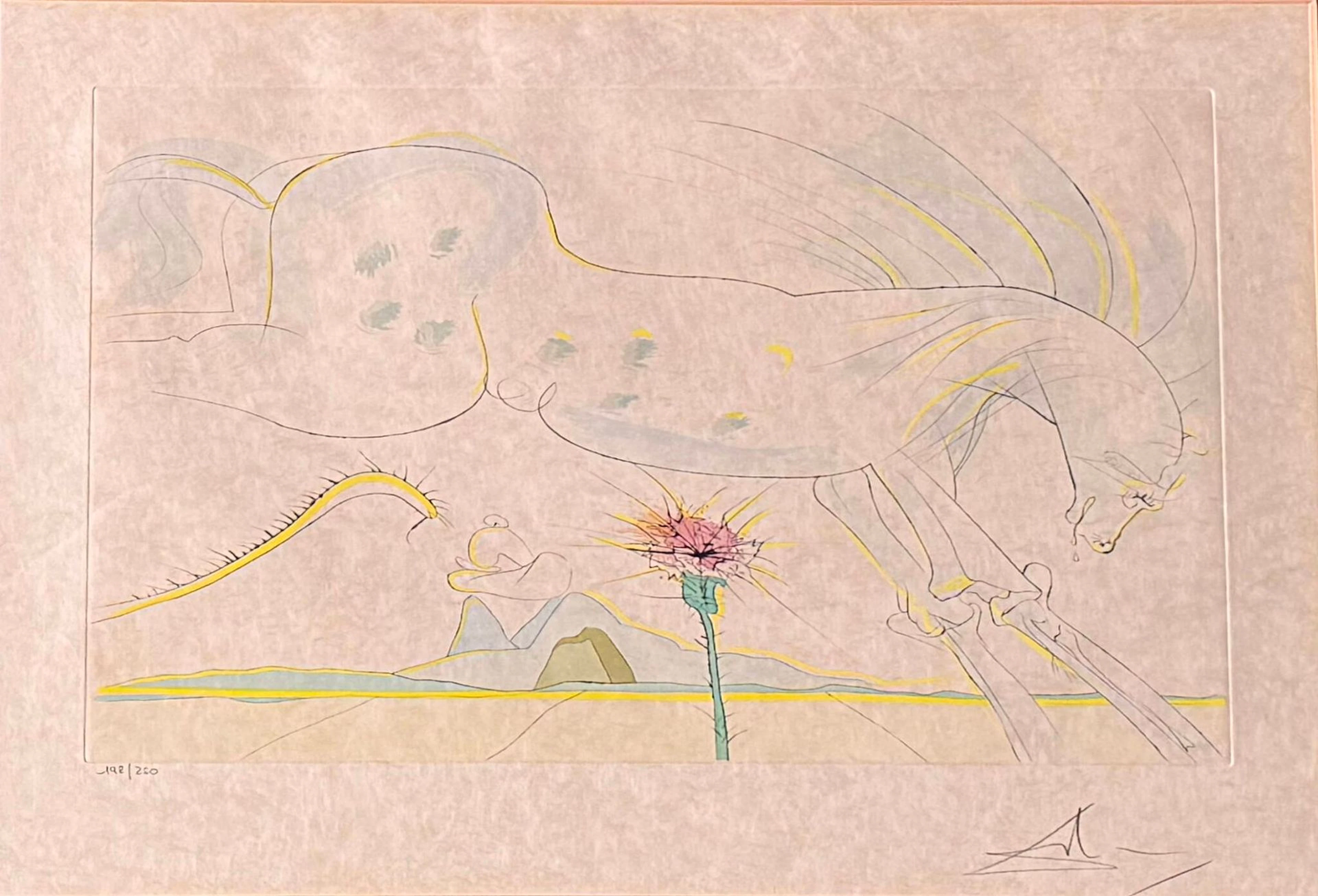 DALI Salvador, after - Lot 205