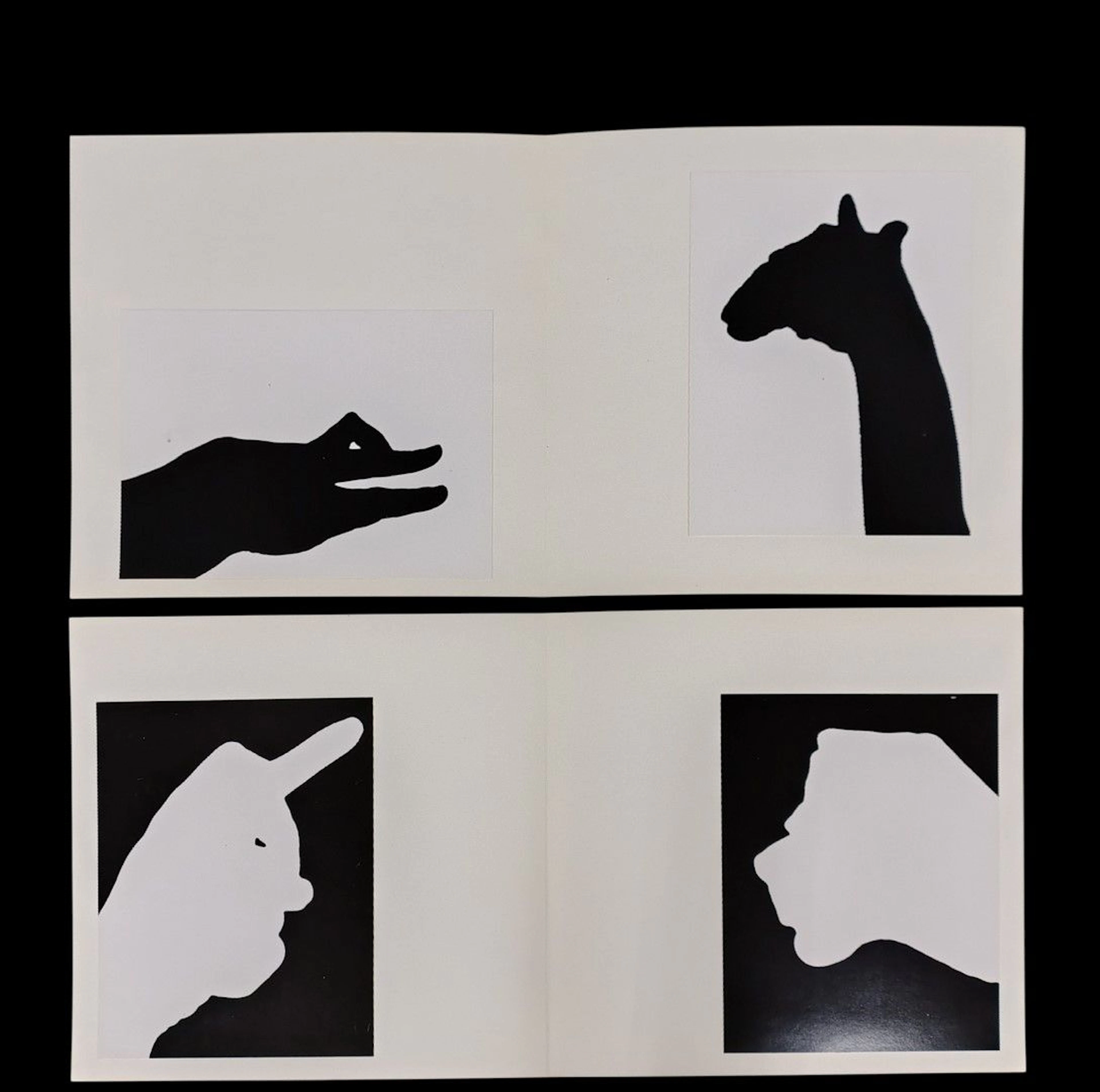 René ROBERT (1936-2022). Ombres chinoises, guitare et divers. Dans boite Agfa titrée et légendée par le photographe, ensemble de 17 tirages argentiques montés sur cartons, principalement 2 épreuves en noir et blanc par pliages en 4. Non signés. Divers états et formats. Formats moyens des montages environ 30 x 30 cm. PROVENANCE : Succession René ROBERT.