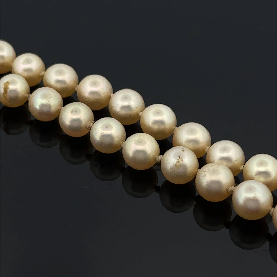 Necklace consisting of a single strand of cream-colored cult - Lot 239