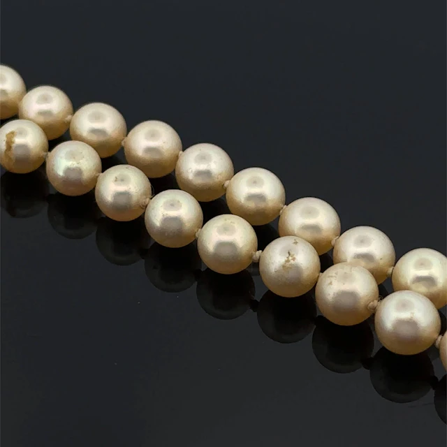 Necklace consisting of a single strand of cream-colored cult - Lot 239