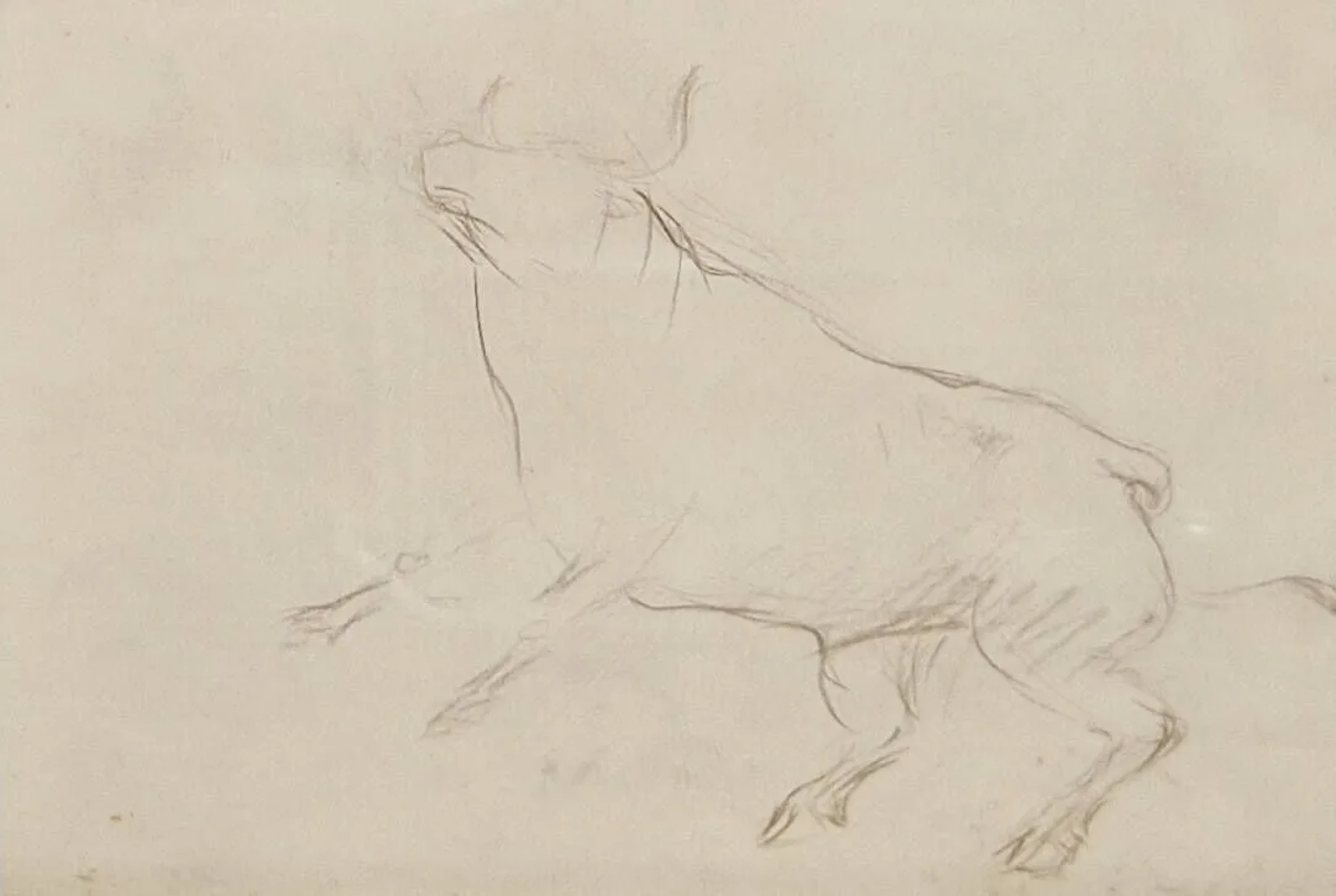 GARGALLO Pablo, 1881-1934 Boeuf, circa 1930 crayon brun sur papier (infimes rousseurs), non signé, annoté Gargallo sur une étiquette au dos du montage, 23x32 cm. PROVENANCE: Ancienne collection Farbos (musée de dessins à Mont de Marsans). BIBLIOGRAPHIE: Maria José Salazar, Pablo Gargallo, catalogue raisonné des dessins, Fondation Marcelino Botin, 2010, décrit et reproduit sous le n°303 p.935. Nous remercions les archives Gargallo de nous avoir confirmé l'authenticité de cette œuvre et pour les informations qu'ils nous ont communiquées.