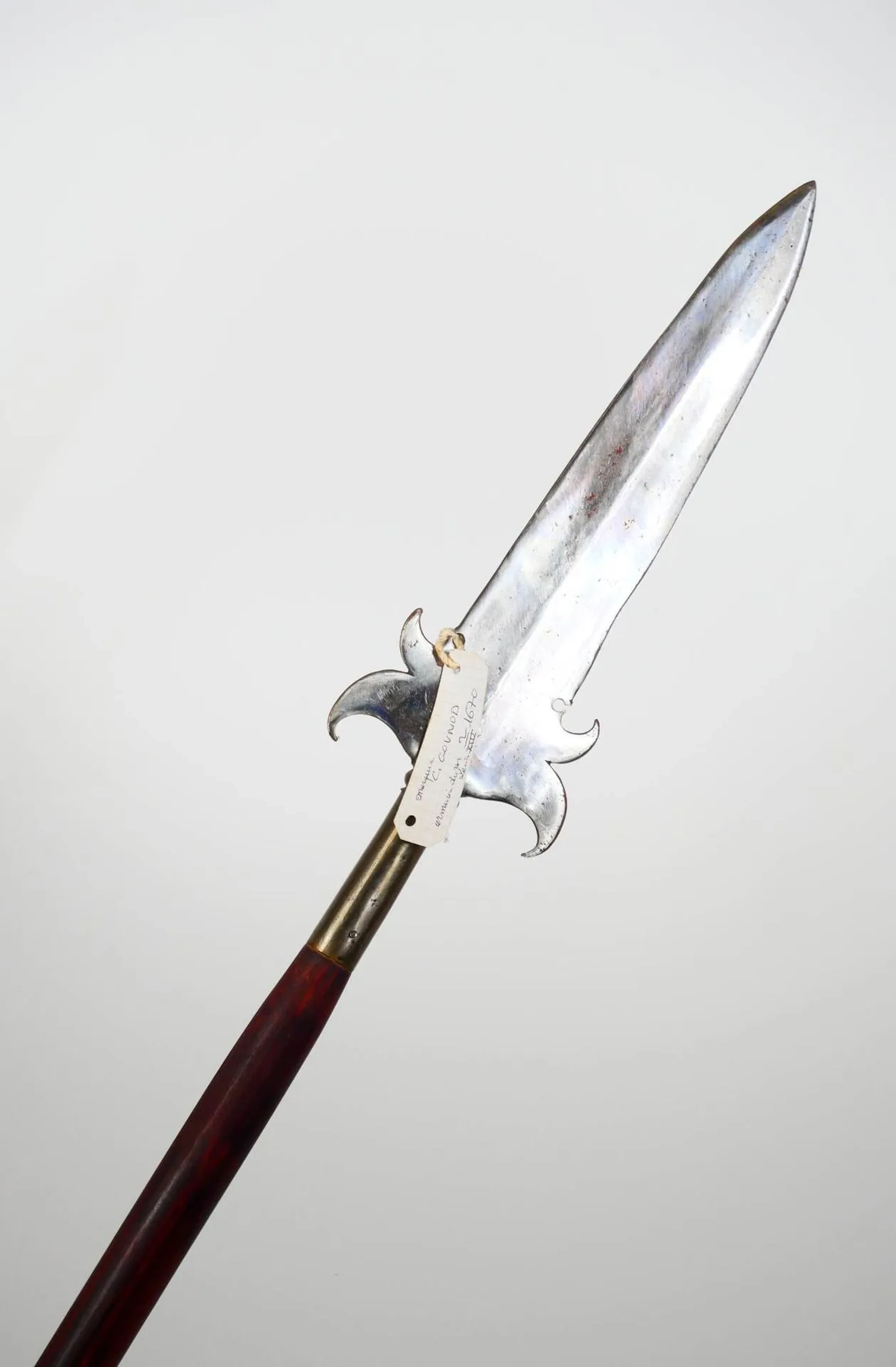 Pertuisane. - Lot 25