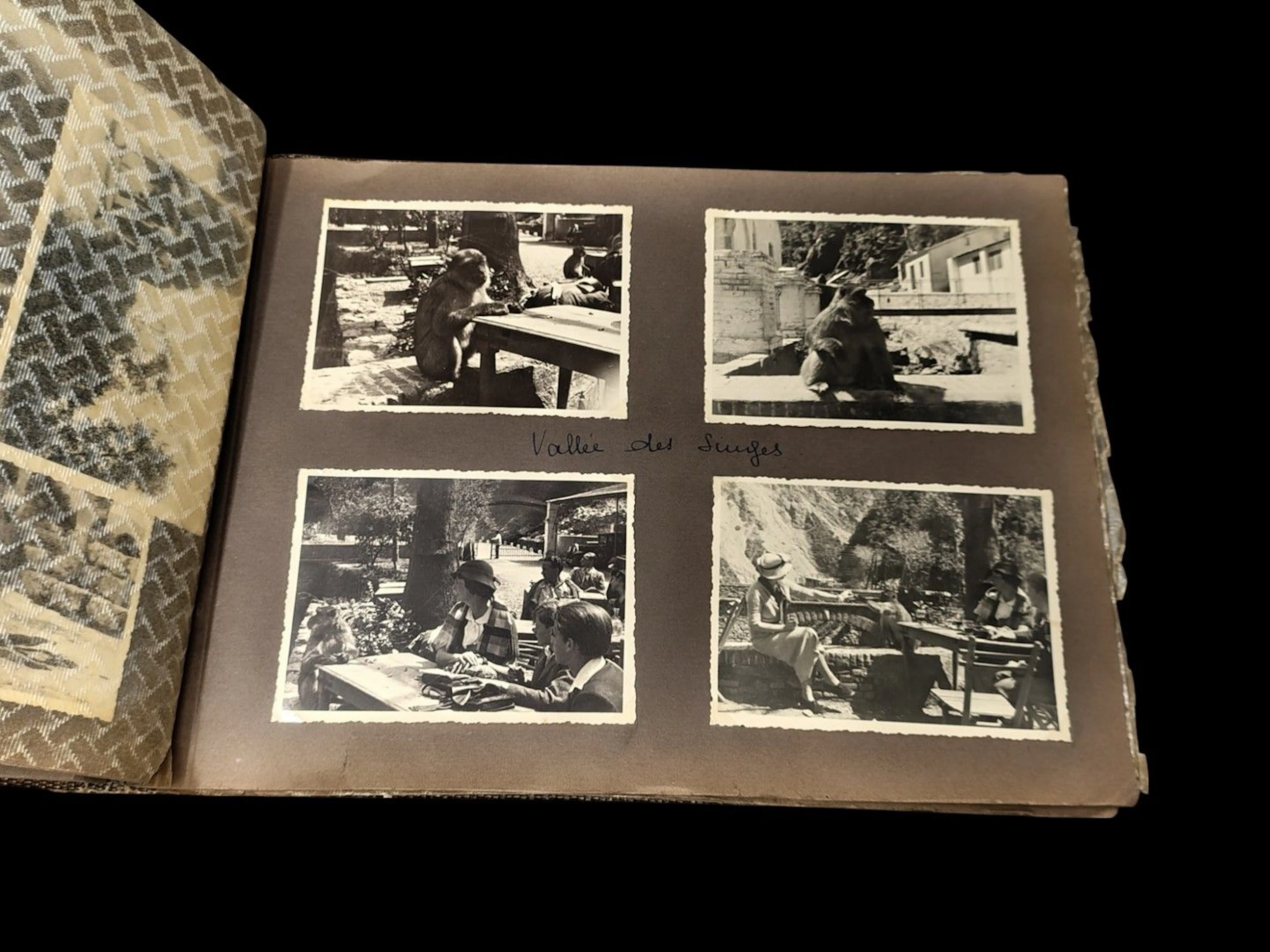 France, Algérie, voyage et divers. Circa 1934-1936. Album photographique dit « de famille » composé de plus de 170 tirages argentiques d'époque montés sur cartons. Sur montages, légendes, annotations manuscrites. Exemples : « Arrivée à Alger », « Col de Chréa », « Vallée des singes », « Environs de Tizi Ouzou », « Plage de Surcouf », « Bou Saâda », « Sud Constantine », « Ruines romaines », « Ile des Goëlands et de Cactus », « Sidi Ferruch », etc. Divers états et formats.