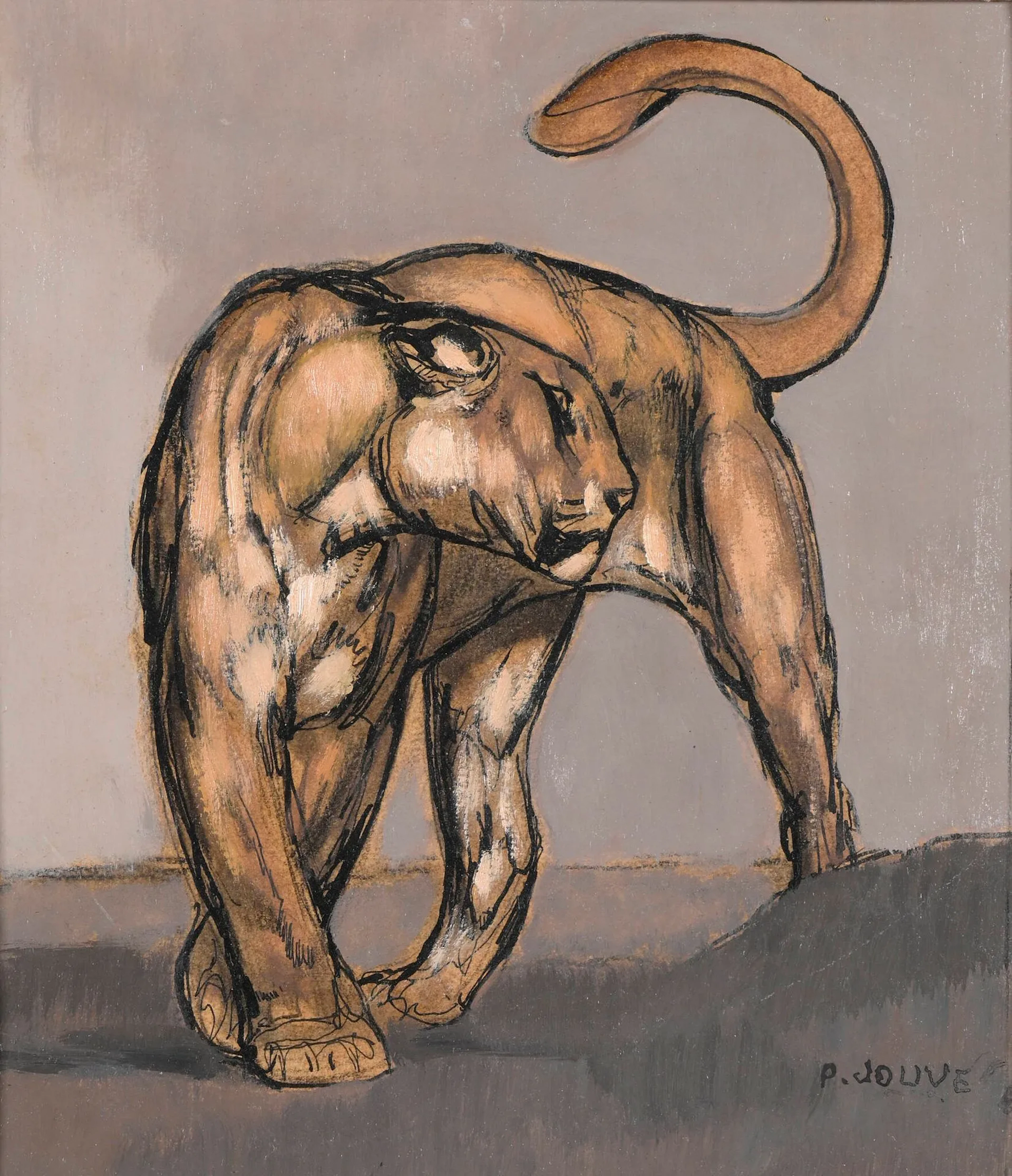 JOUVE Paul, 1878-1973 Lionne à l'affût, vers 1970 plume, encre de Chine et huile sur papier marouflé sur carton, signé en bas à droite sujet : 24x19,5cm - Dim. totale: 24x20,5cm Nous remercions Monsieur Dominique Suisse de nous avoir confirmé l'authenticité de cette œuvre et pour les informations qu'il nous a communiquées. HISTORIQUE : Paul Jouve se blesse au poignet en décembre 1969 et doit alors apprendre à écrire de la main gauche en attendant de récupérer son adresse de la main droite. Ce n'est qu'à la fin de l'année 1970 qu'il retrouve son habileté et la capacité de dessiner à nouveau. Notre dessin a probablement été réalisé un peu avant cet accident et signé ensuite, ce qui explique la signature tremblée de cette œuvre.