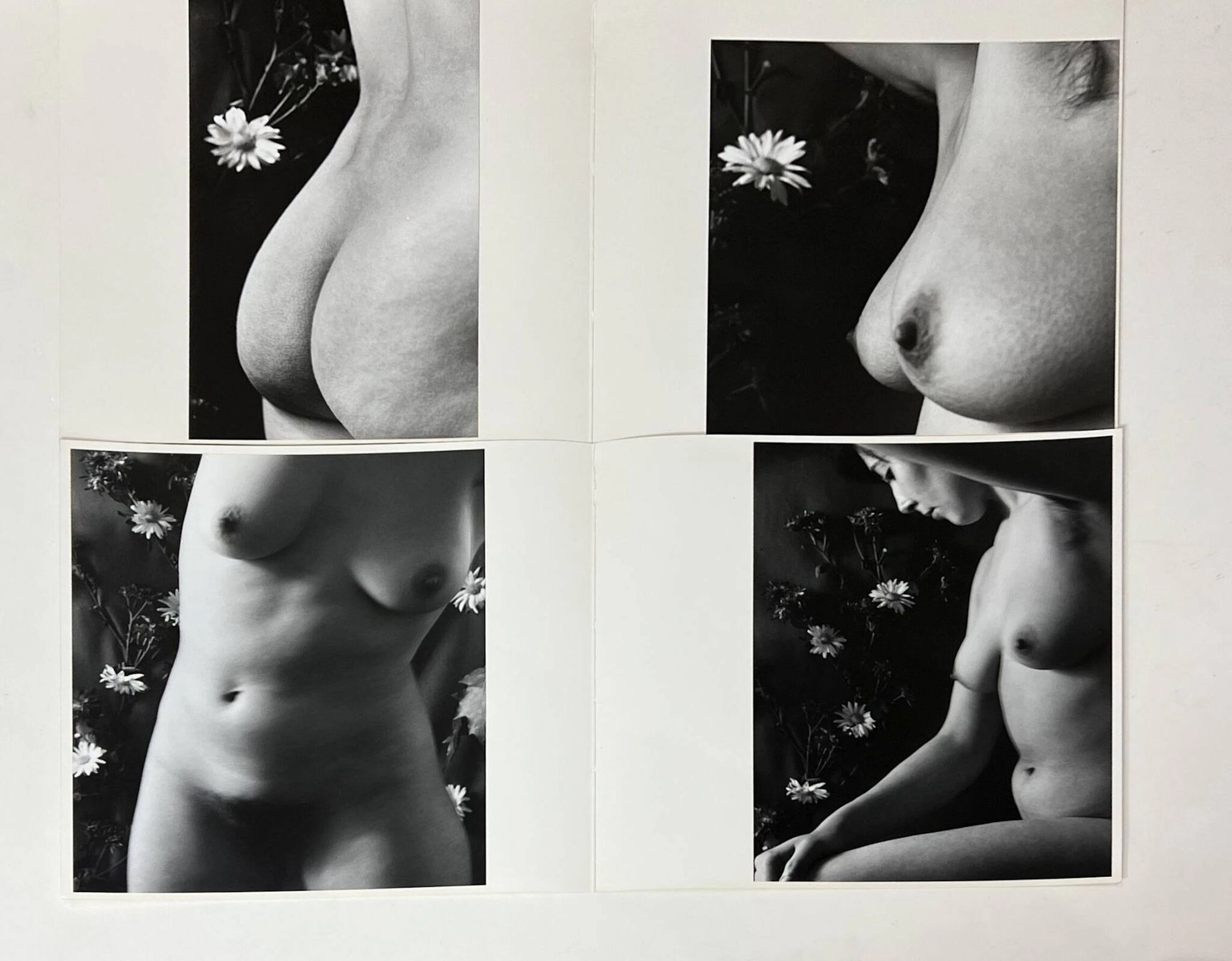 René ROBERT (1936-2022). Nude studies, nude women, erotica, - Lot 485
