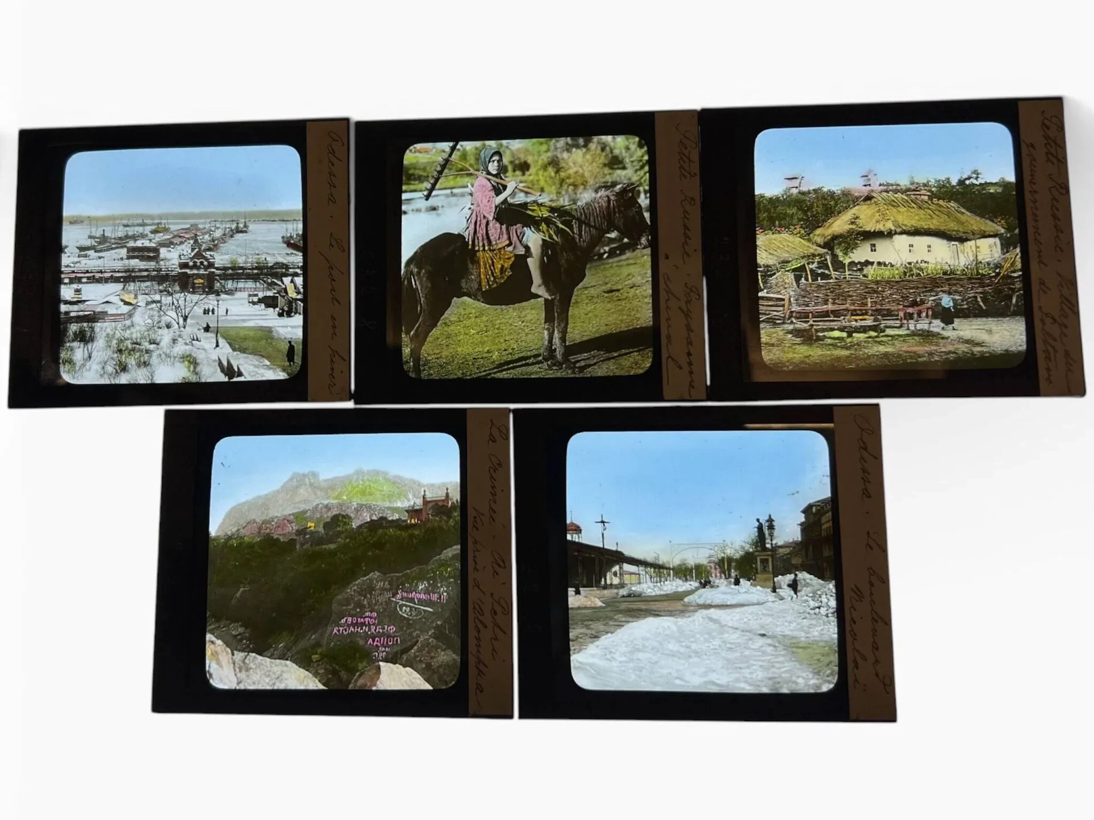 Color photographs by an unidentified photographer. In a wood - Lot 62