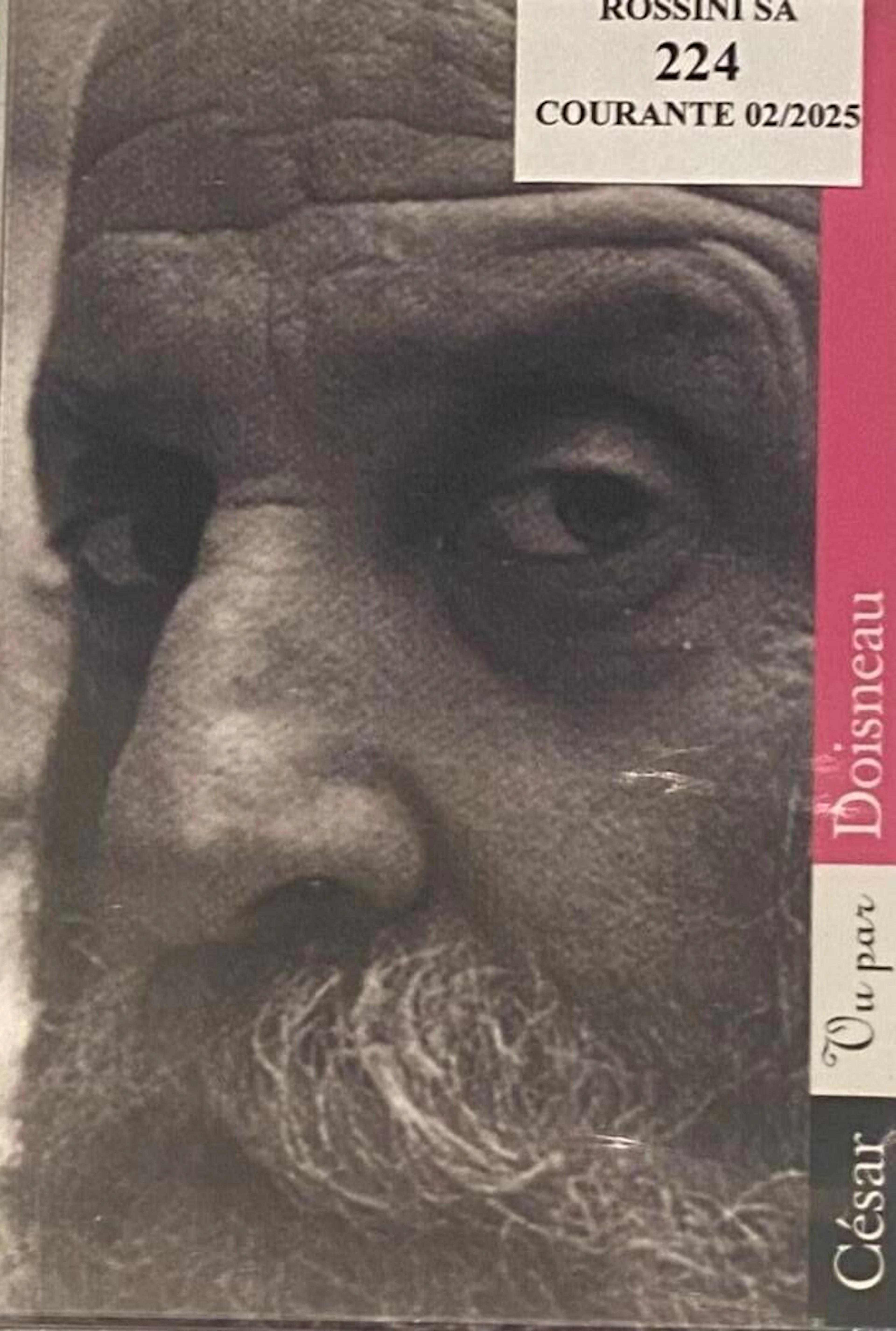 CESAR as seen by DOISNEAU - Lot 251