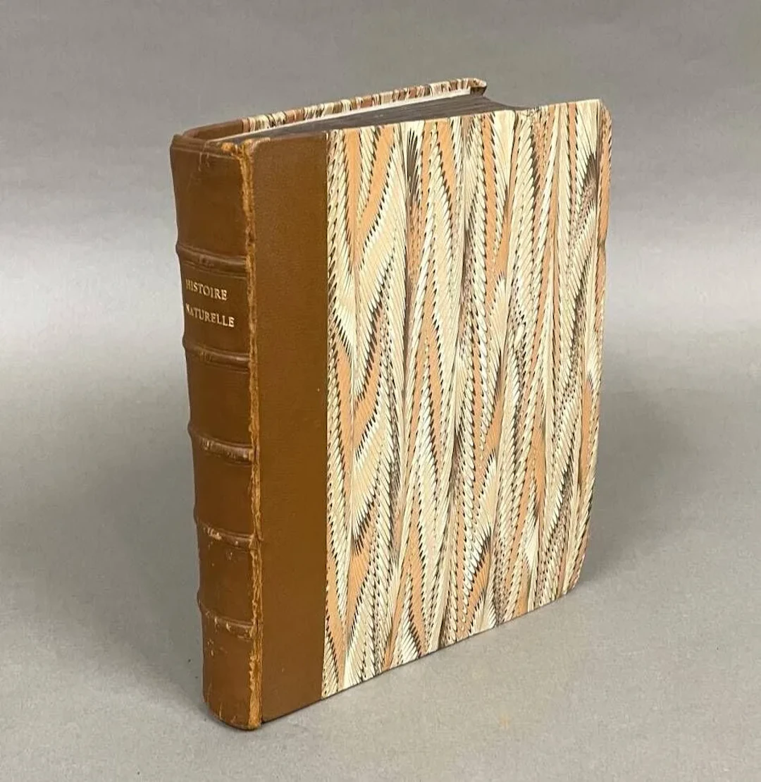 [ASTRUC (Jean)]. Mémoires pour l'histoire naturelle de la pr - Lot 454