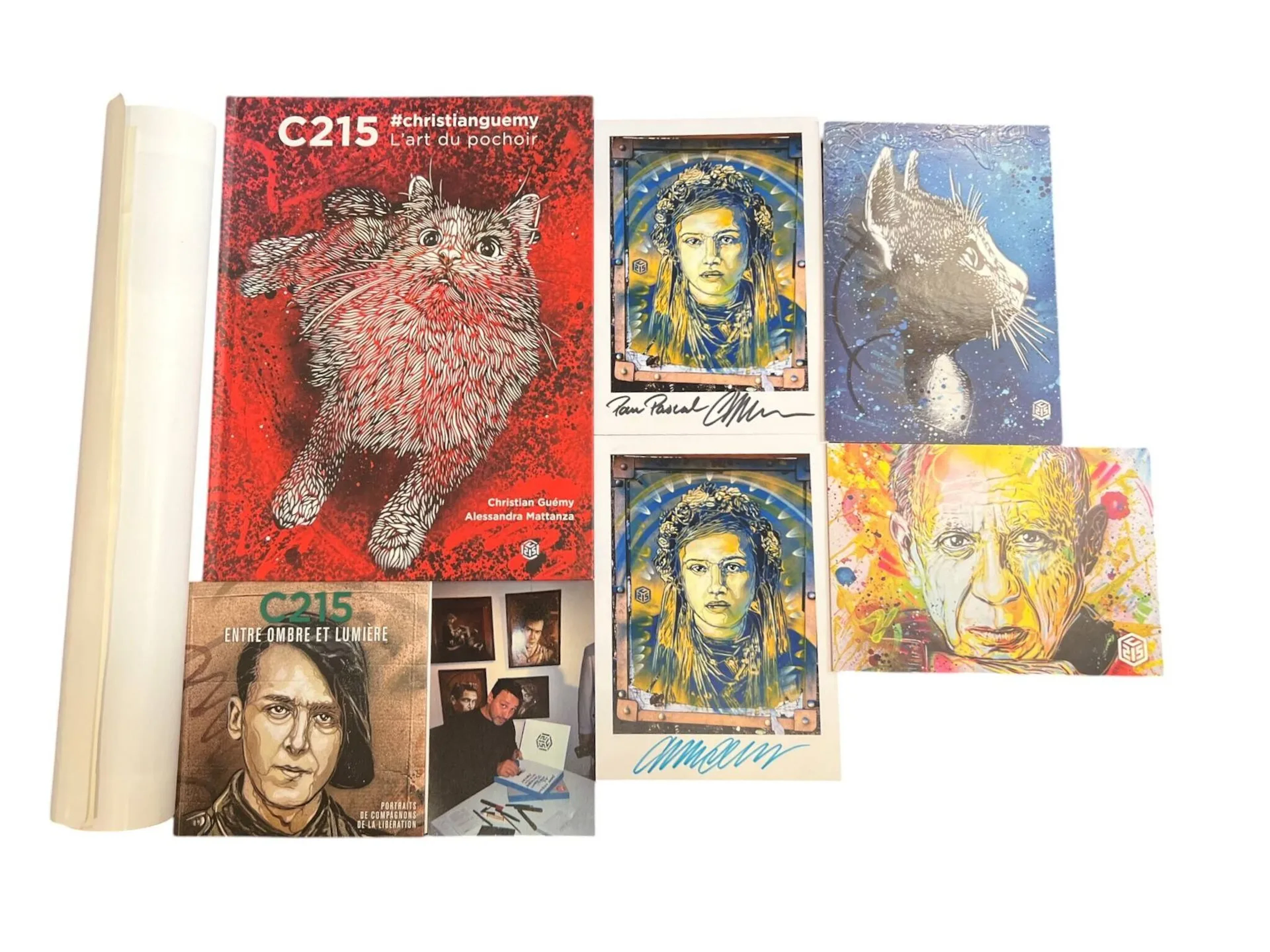 C215 (born 1973) [Christian GUEMY dit] - Lot 250