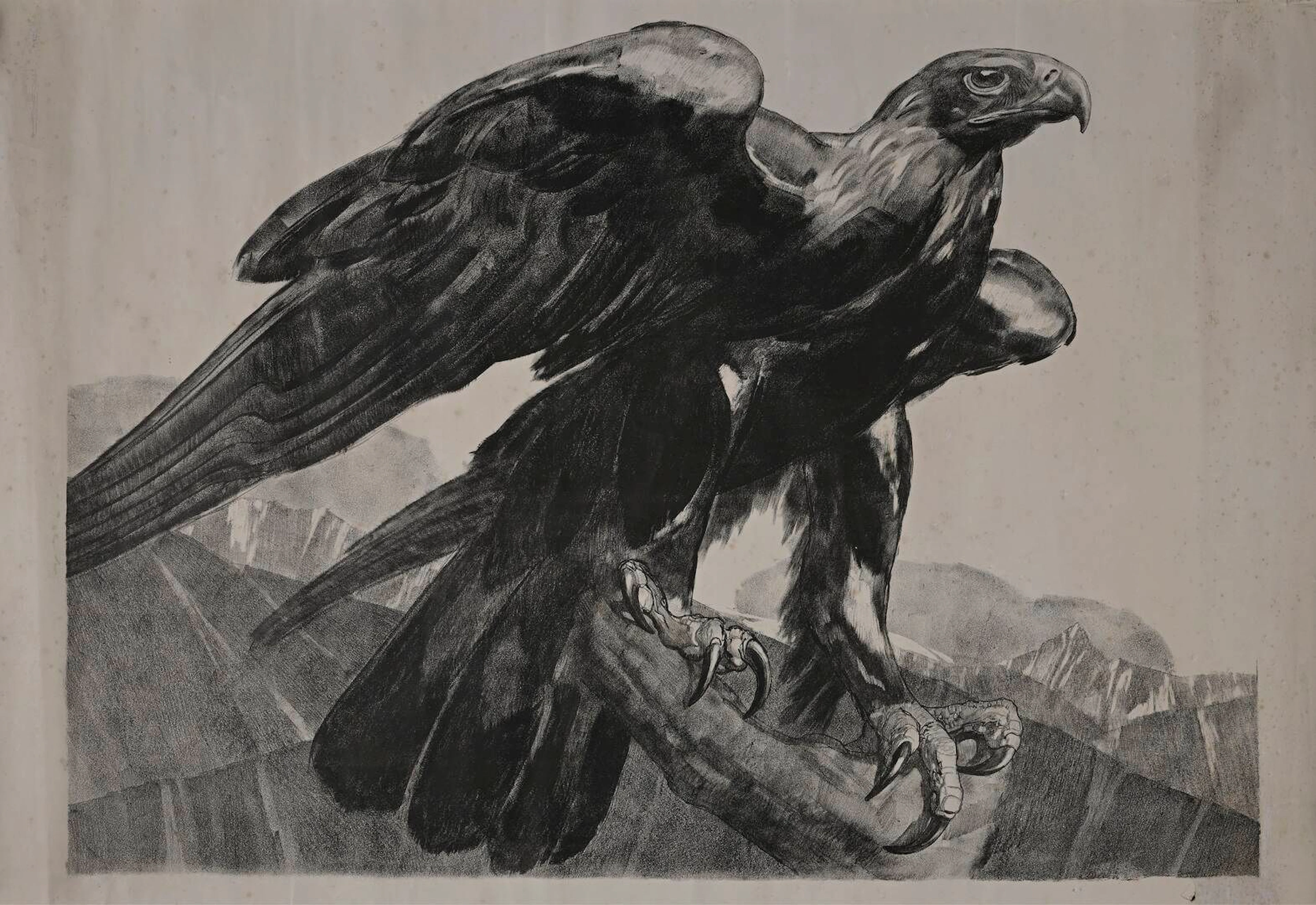JOUVE Paul, d'après, Aigle, circa 1929, lithographie (rousseurs, traces de plis, petits accidents), non signée, 65,5x101,5 cm. BIBLIOGRAPHIE : Félix Marcilhac, Paul Jouve, peintre sculpteur animalier, Les éditions de l'Amateur, Paris, 2005, planche similaire décrite et reproduite p.366.