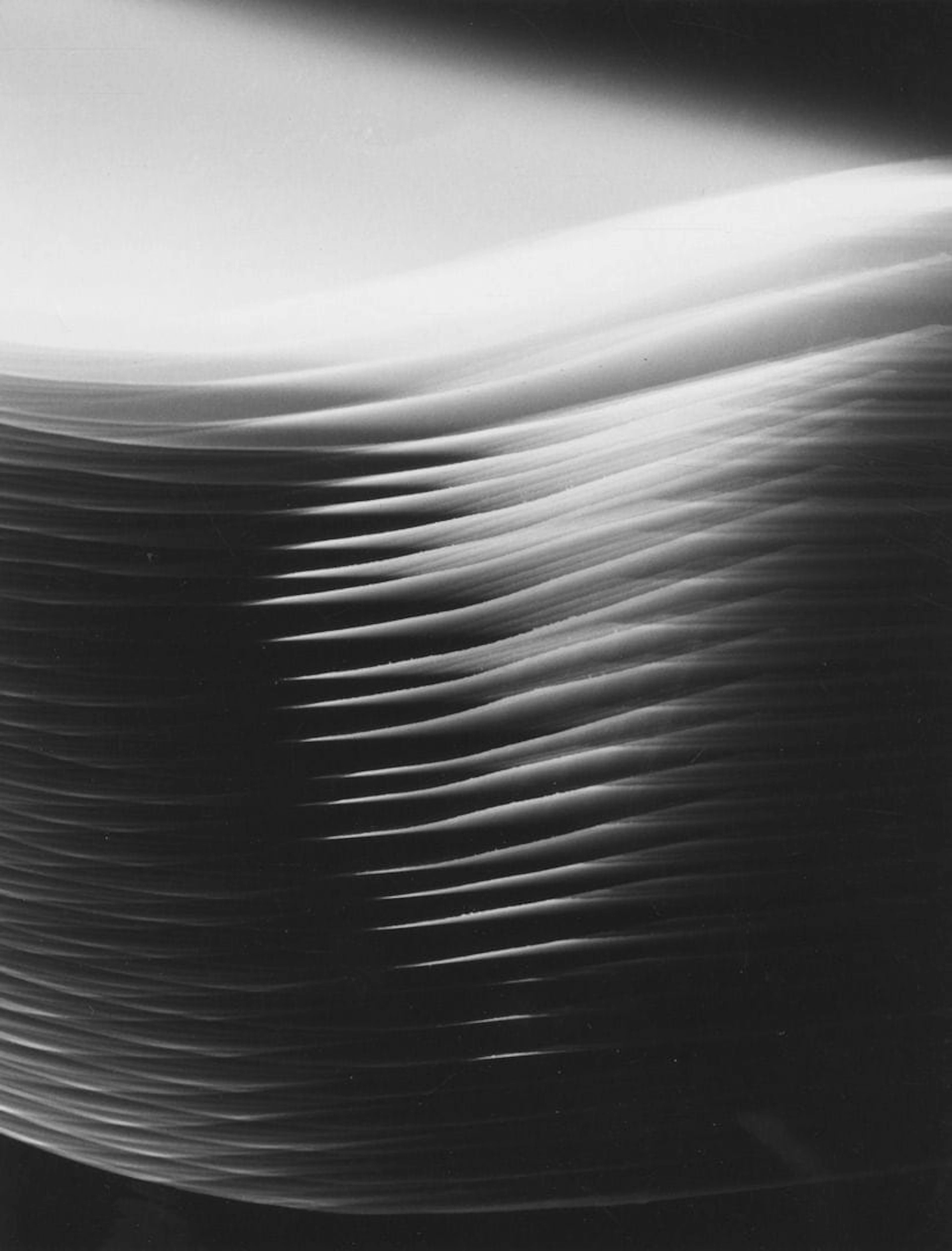 Pim WESTERWEEL - Lot 8