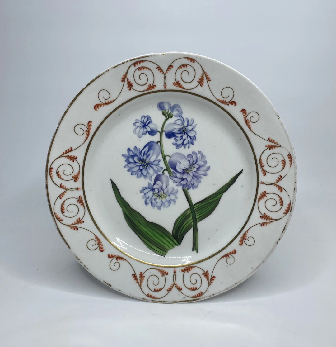 English porcelain botanical plate, Hyacinth, c. 1800.